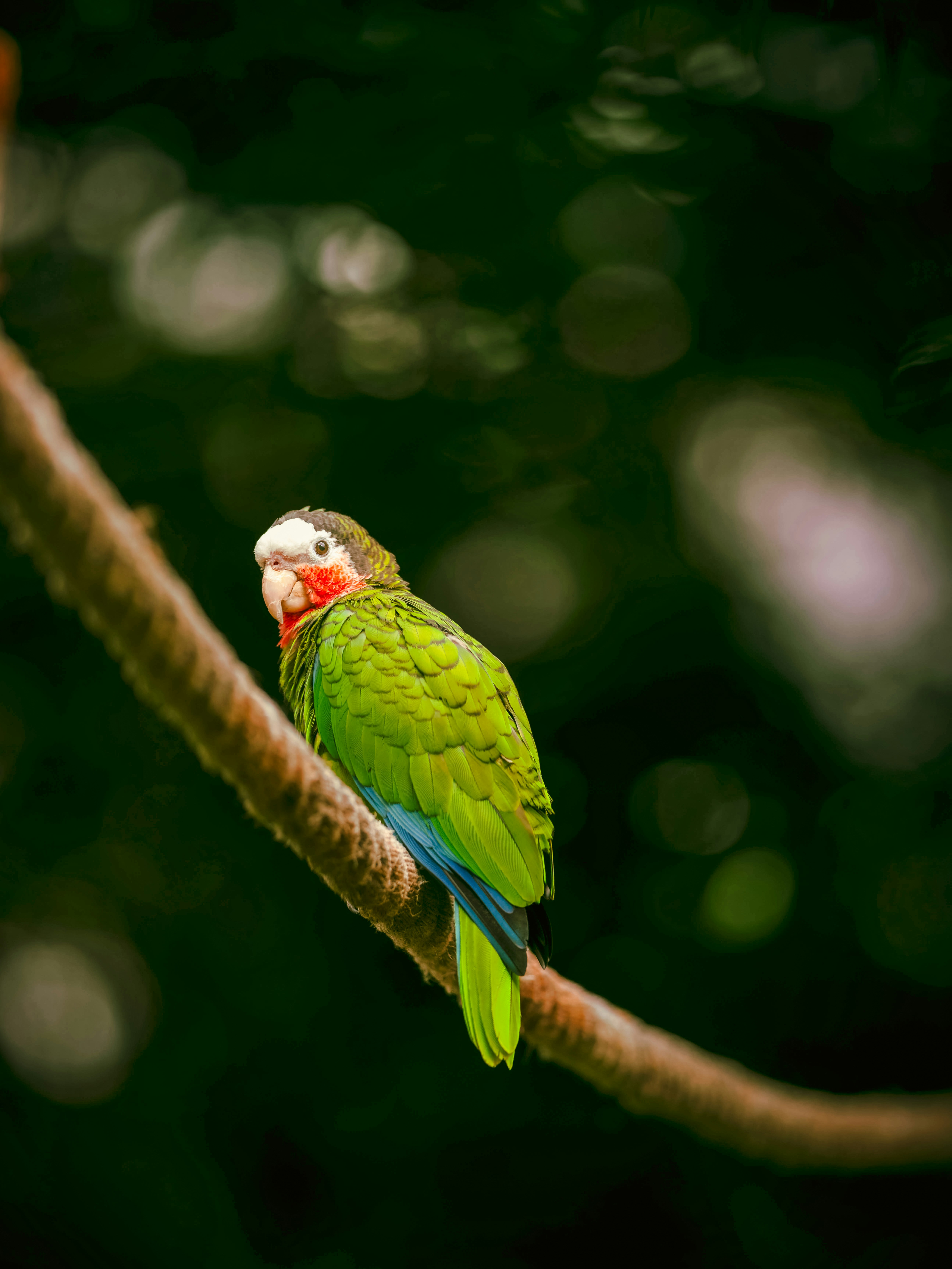 Photo by lizzie_photography_edits_13