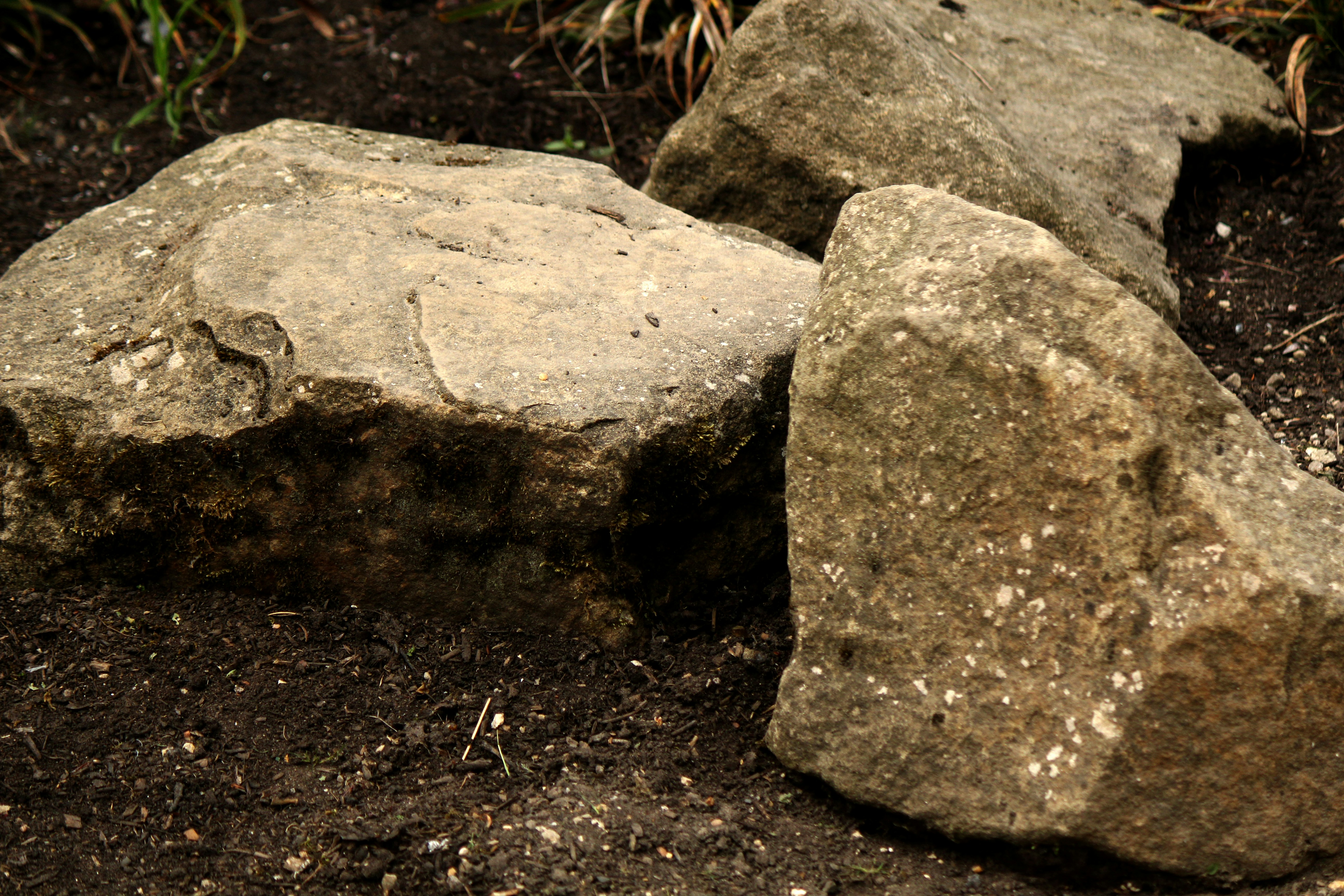 Rocks and dirt lie in the garden.