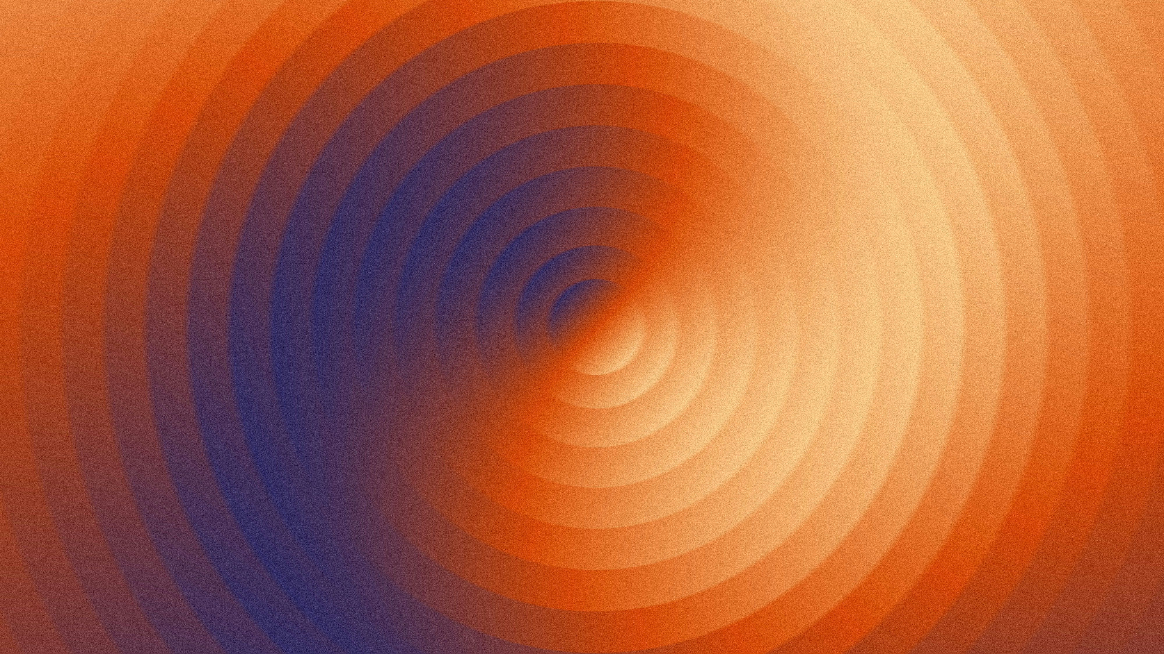 Photo by framedmomentslab