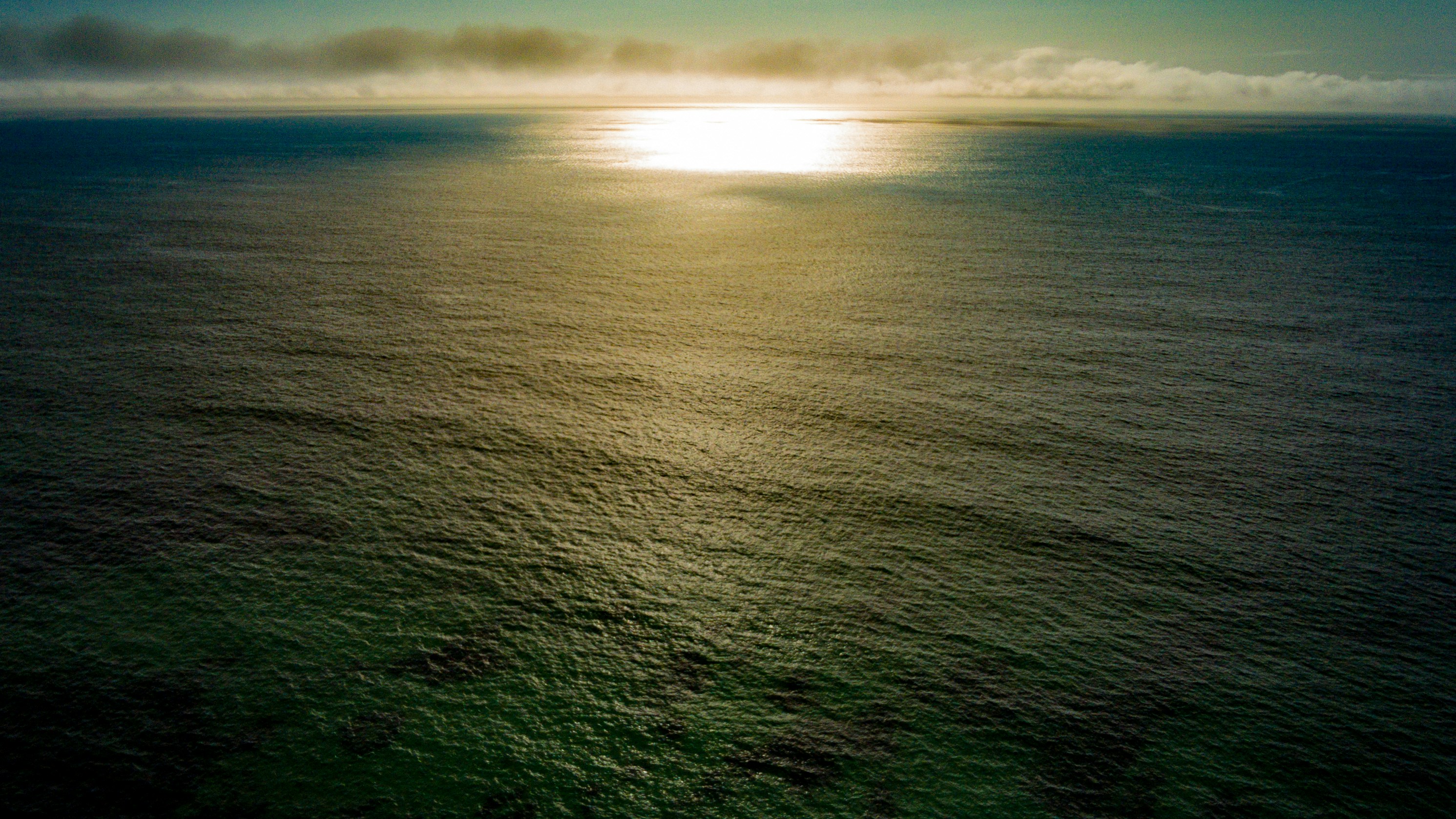 Photo by vinicius047