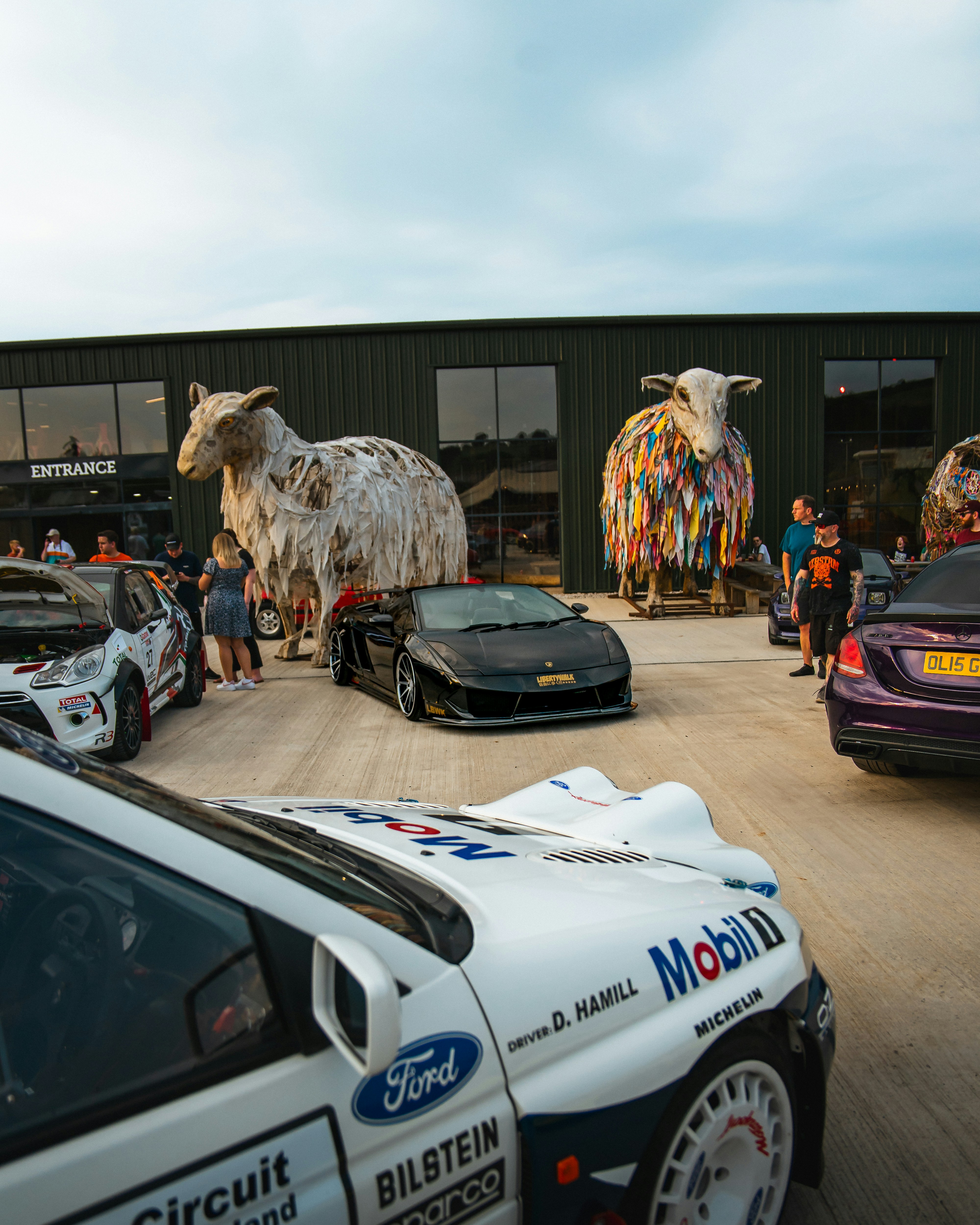 Cars gather near giant sheep sculptures.