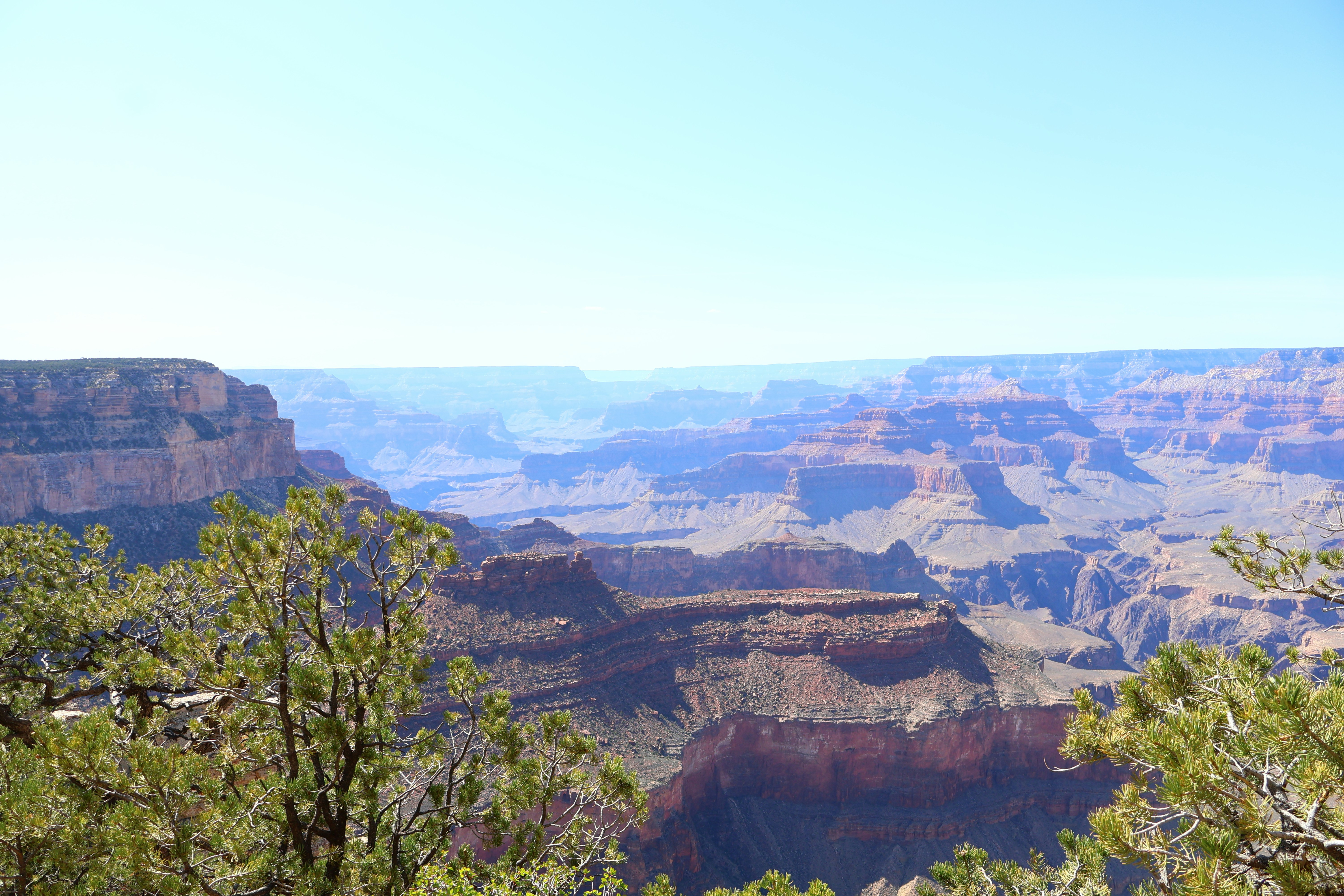 Panoramic view of the grand canyon on a sunny day.