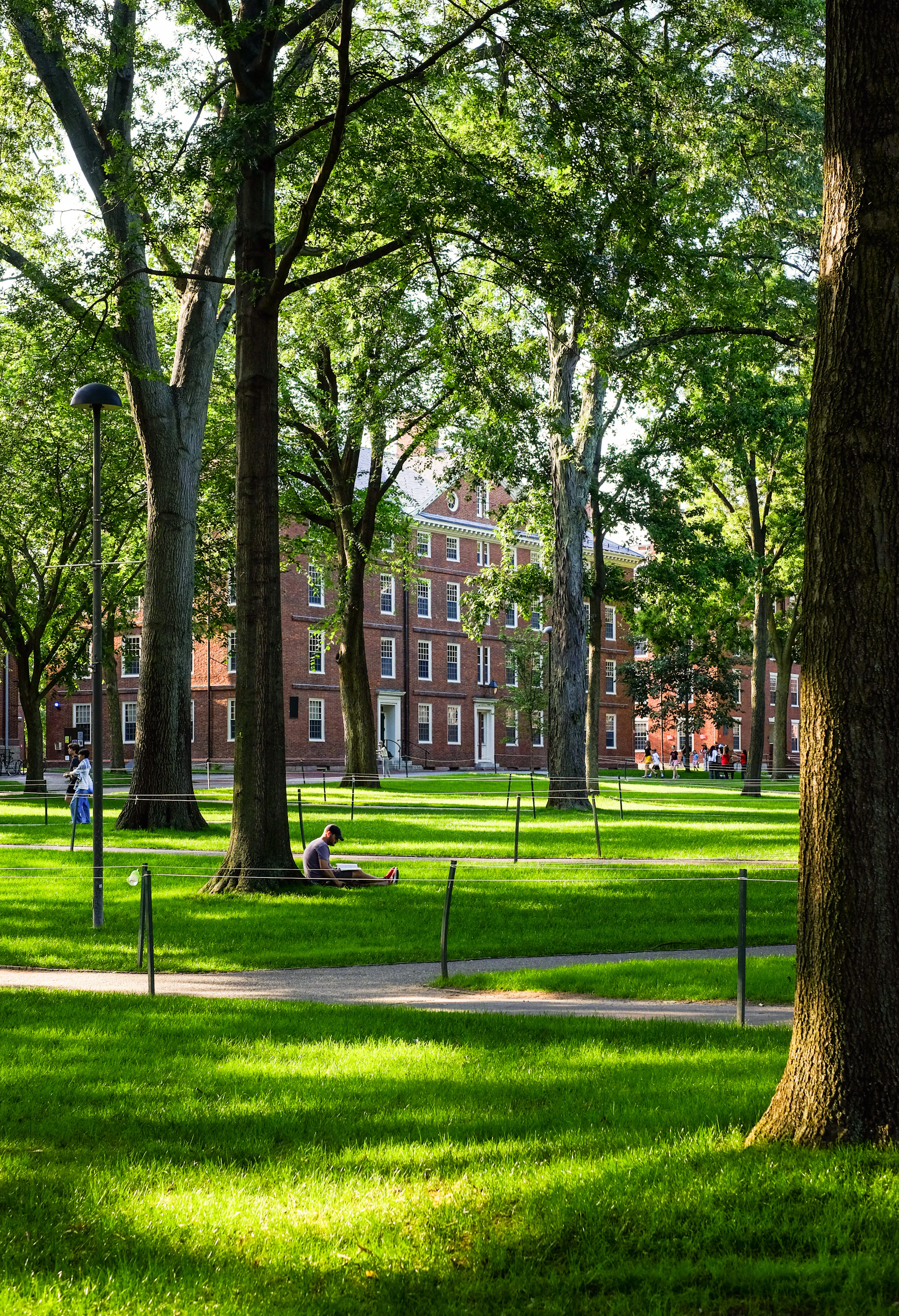 A lush green campus with brick buildings.