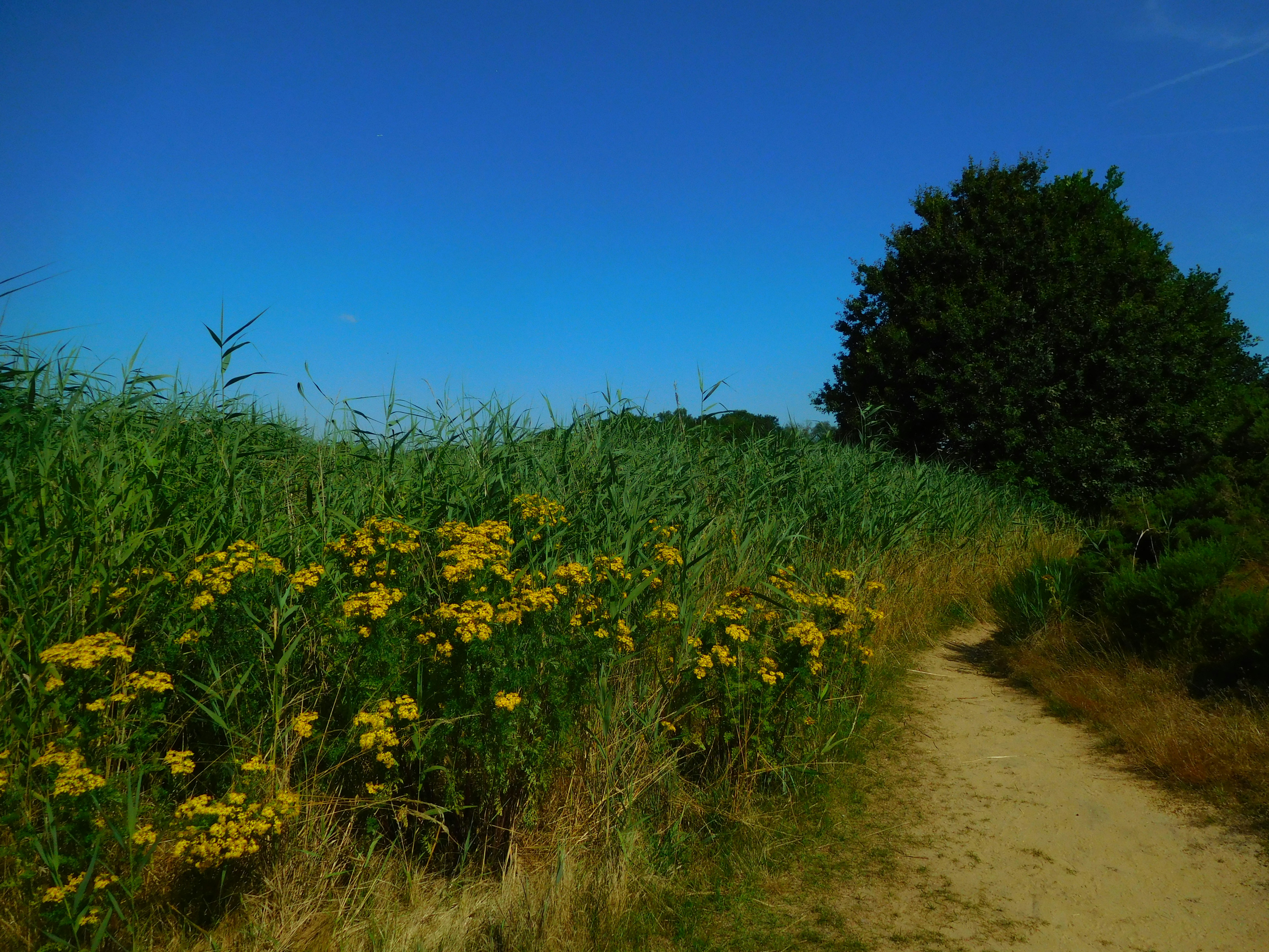 Photo by greywoolfproductions