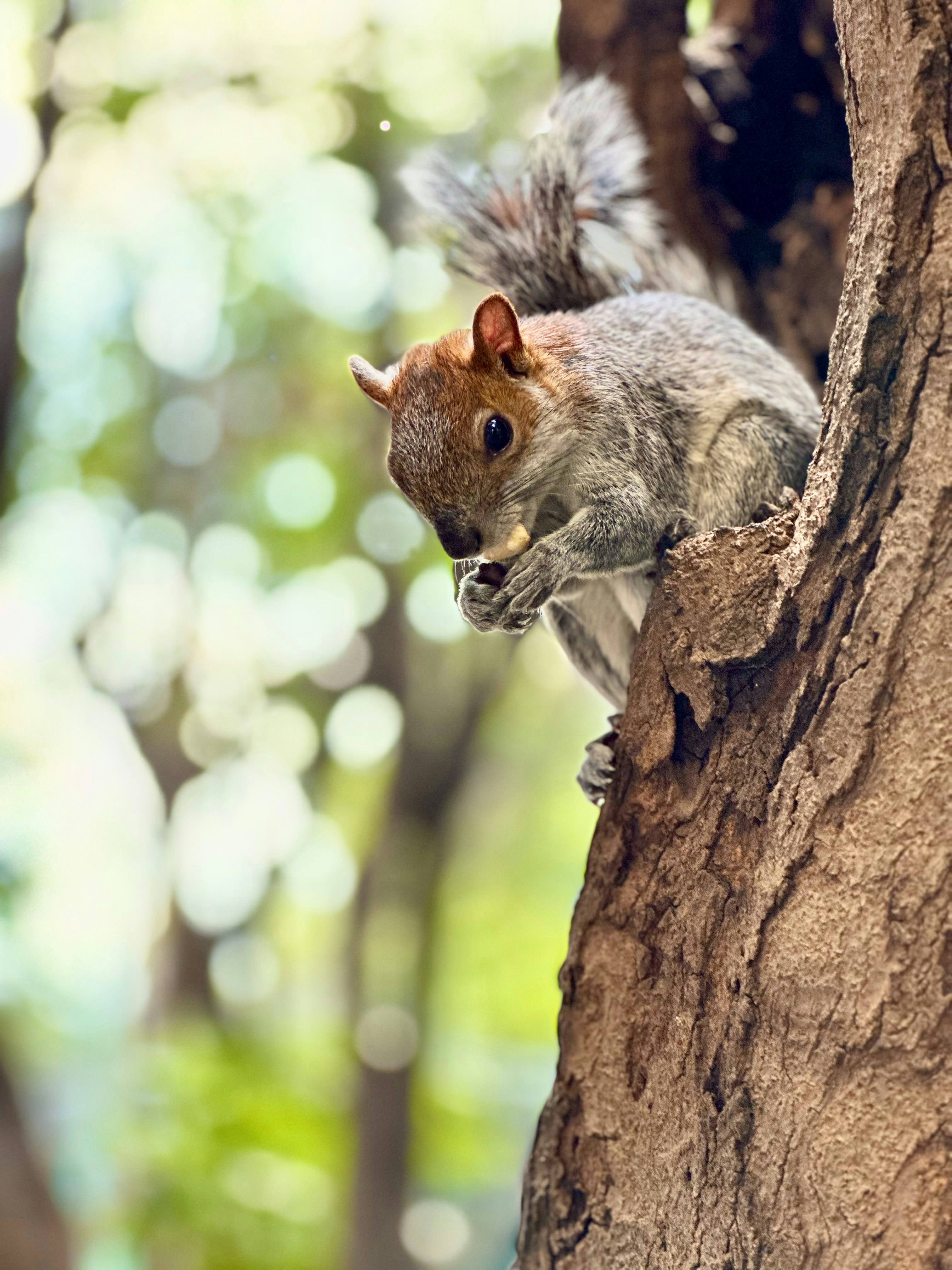 Photo by enriquisimotv