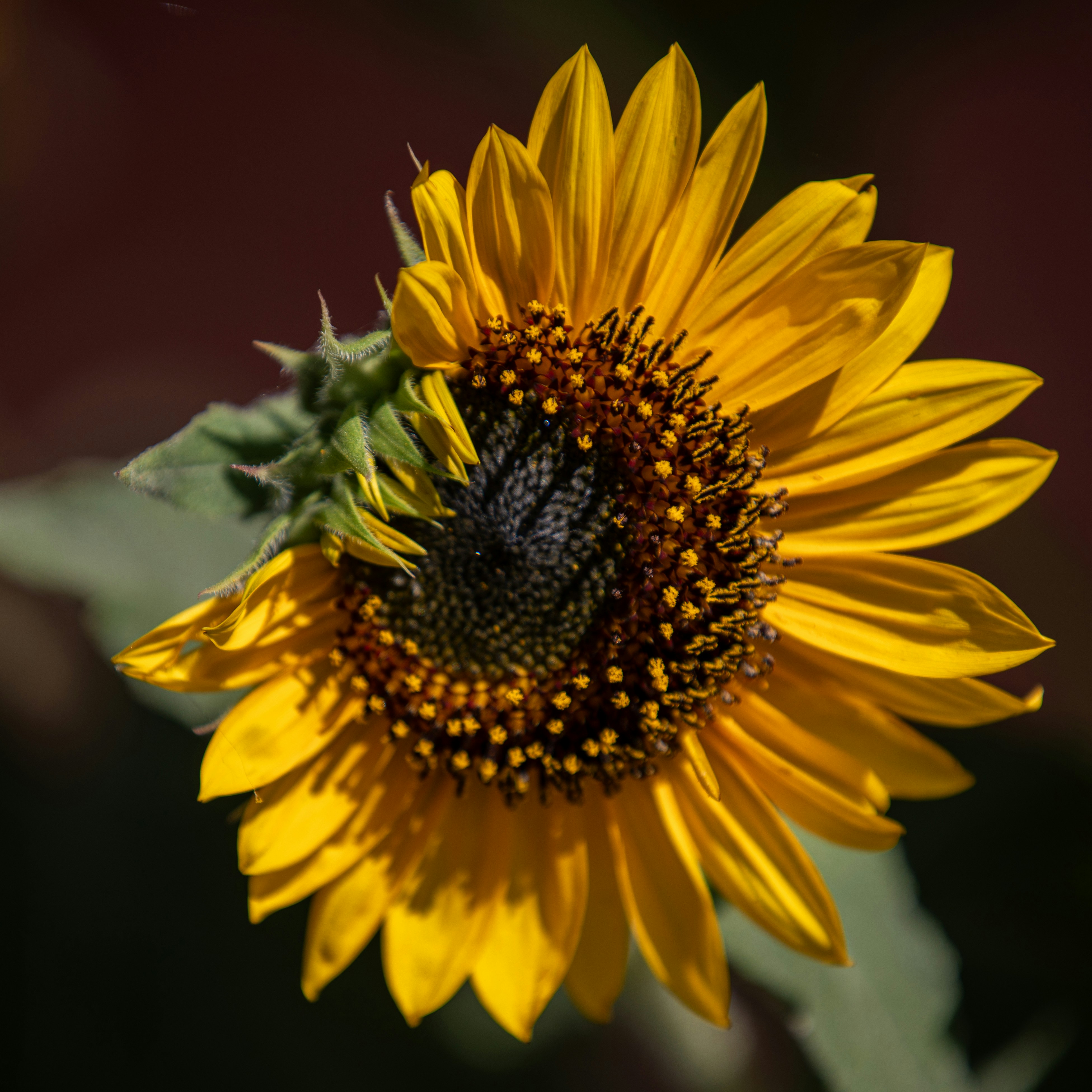 Photo by sixteenmilesout