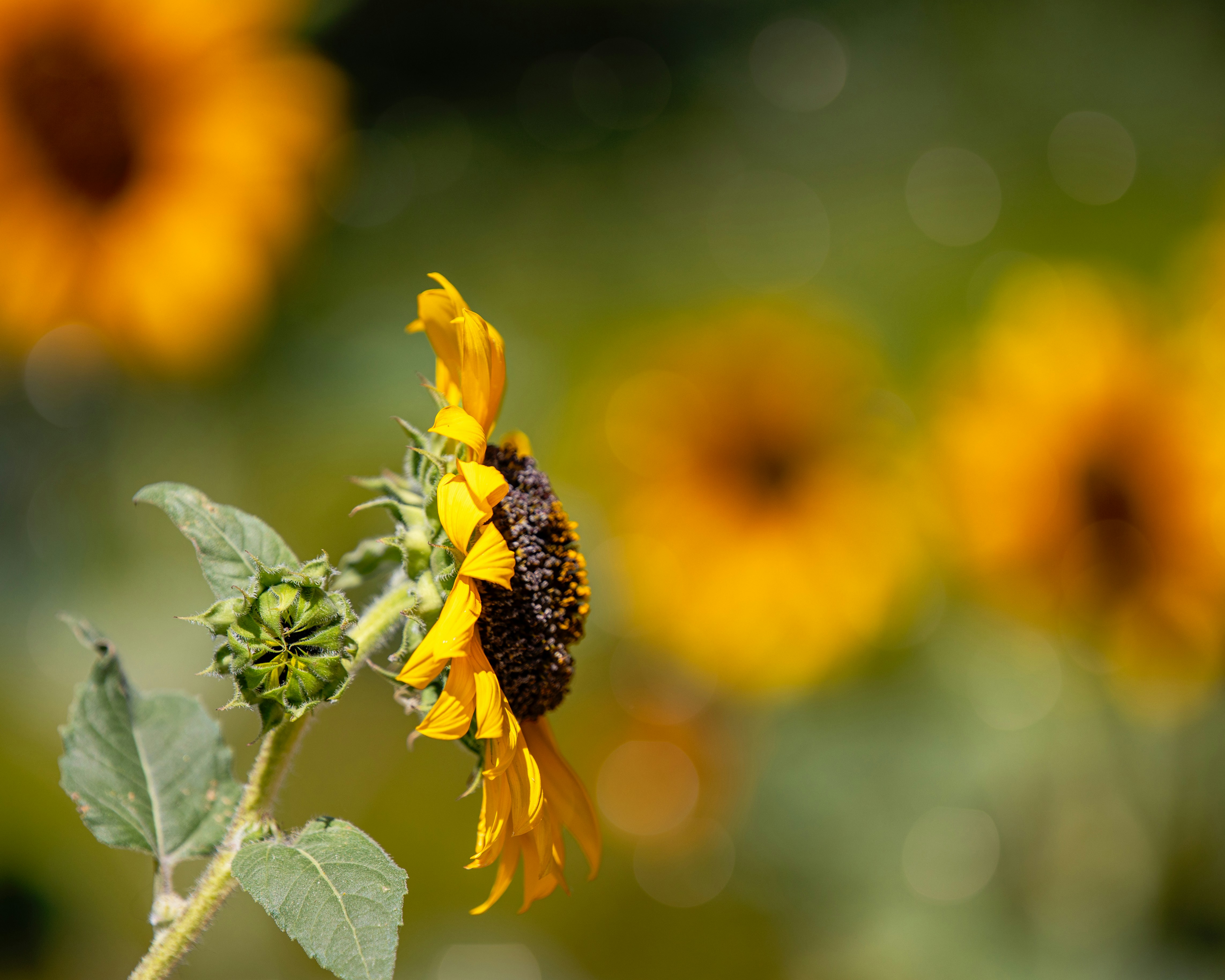 Photo by sixteenmilesout