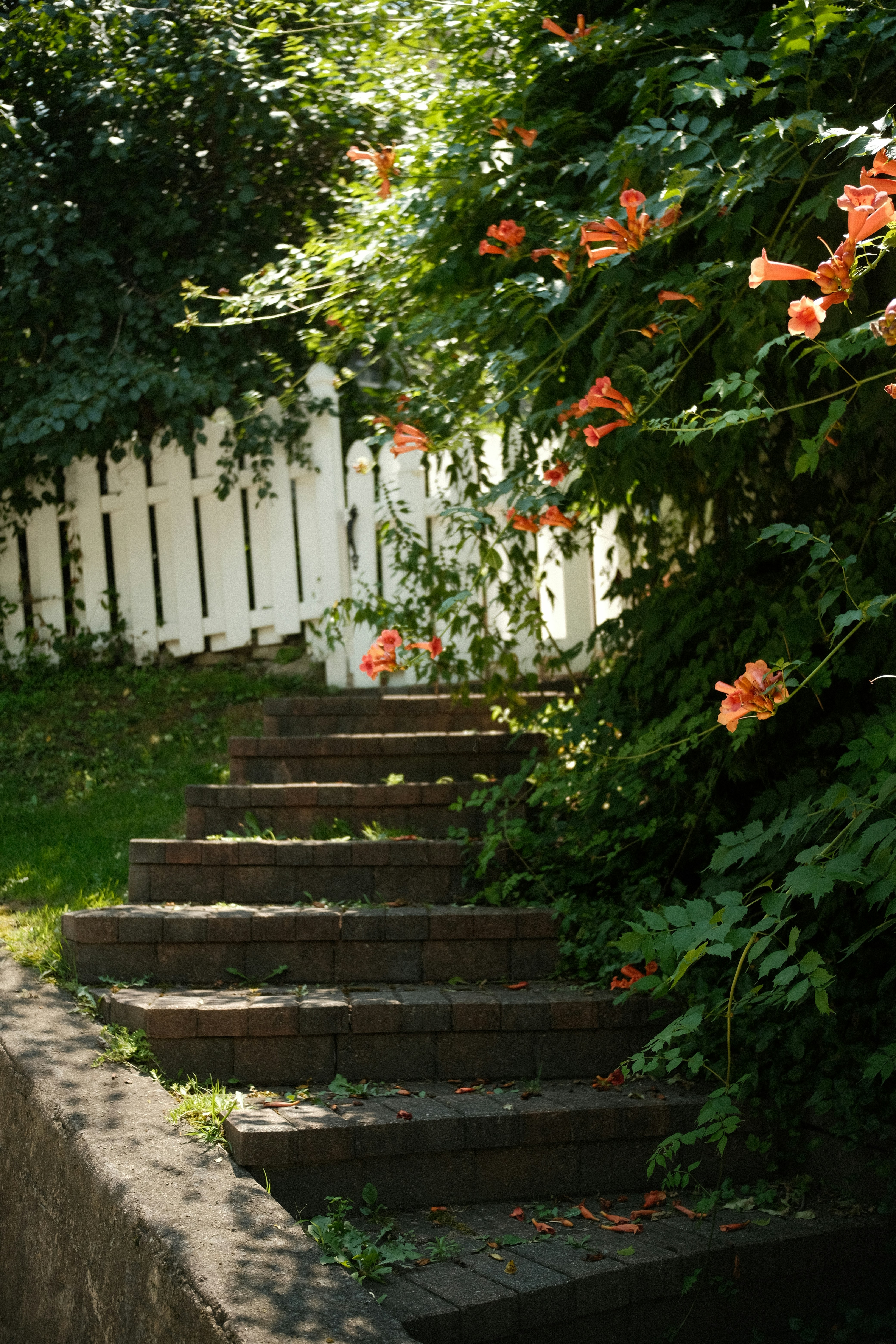 Staircase leads to a white picket fence.