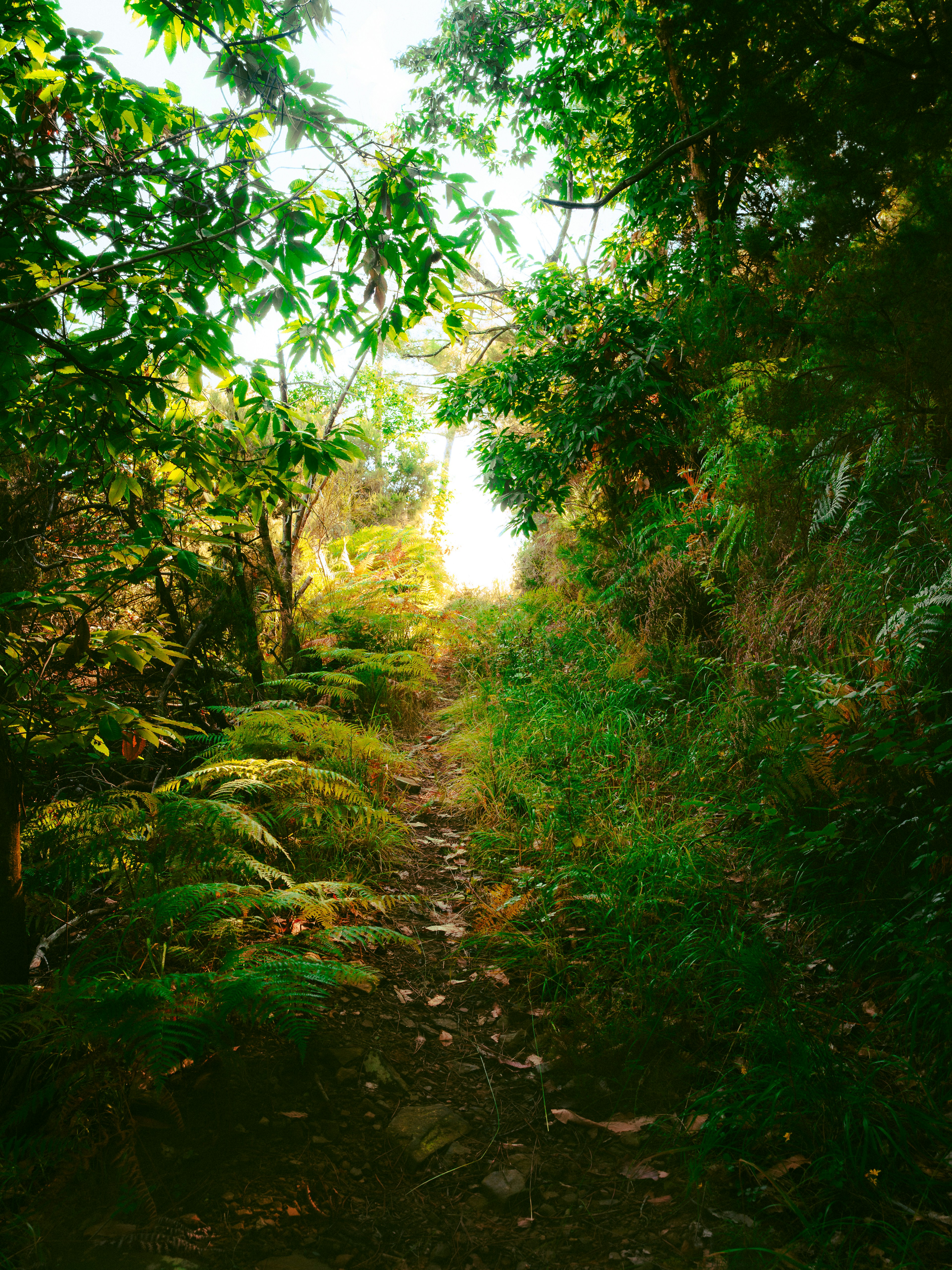 Photo by cashlovely24