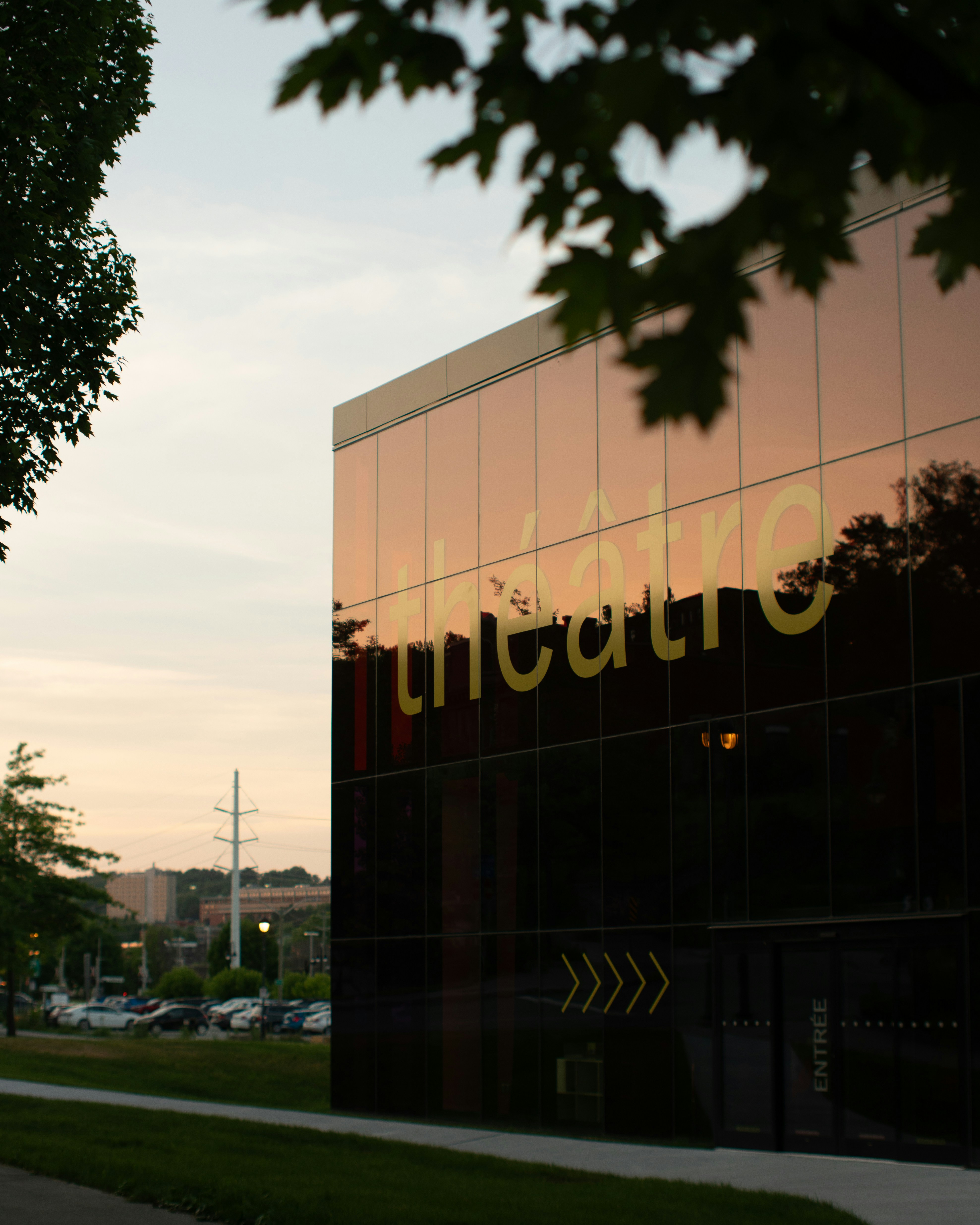 Limbach Holdings, Inc. Reports Third Quarter 2025 Results
