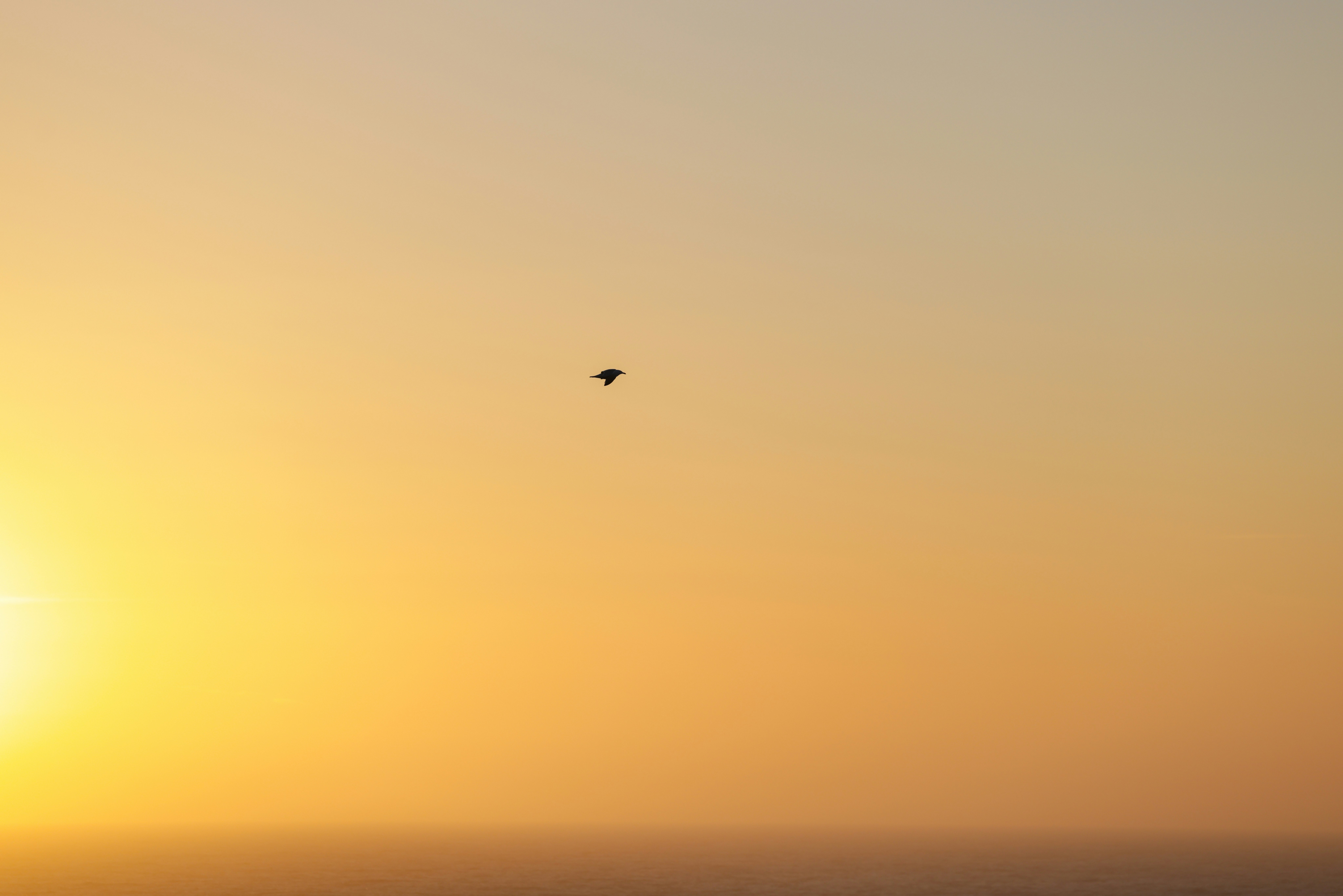 Photo by casunshine0508