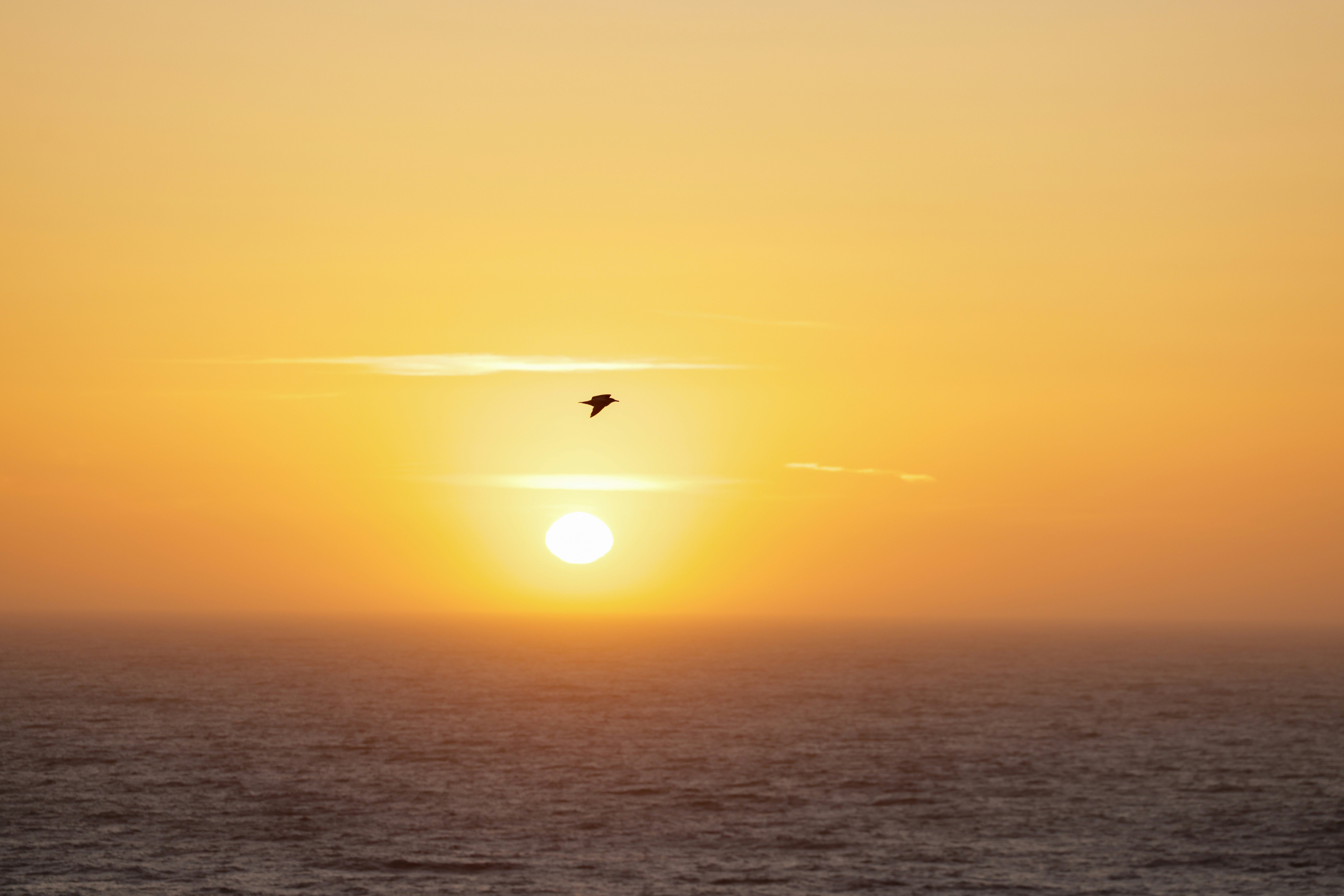 Photo by casunshine0508