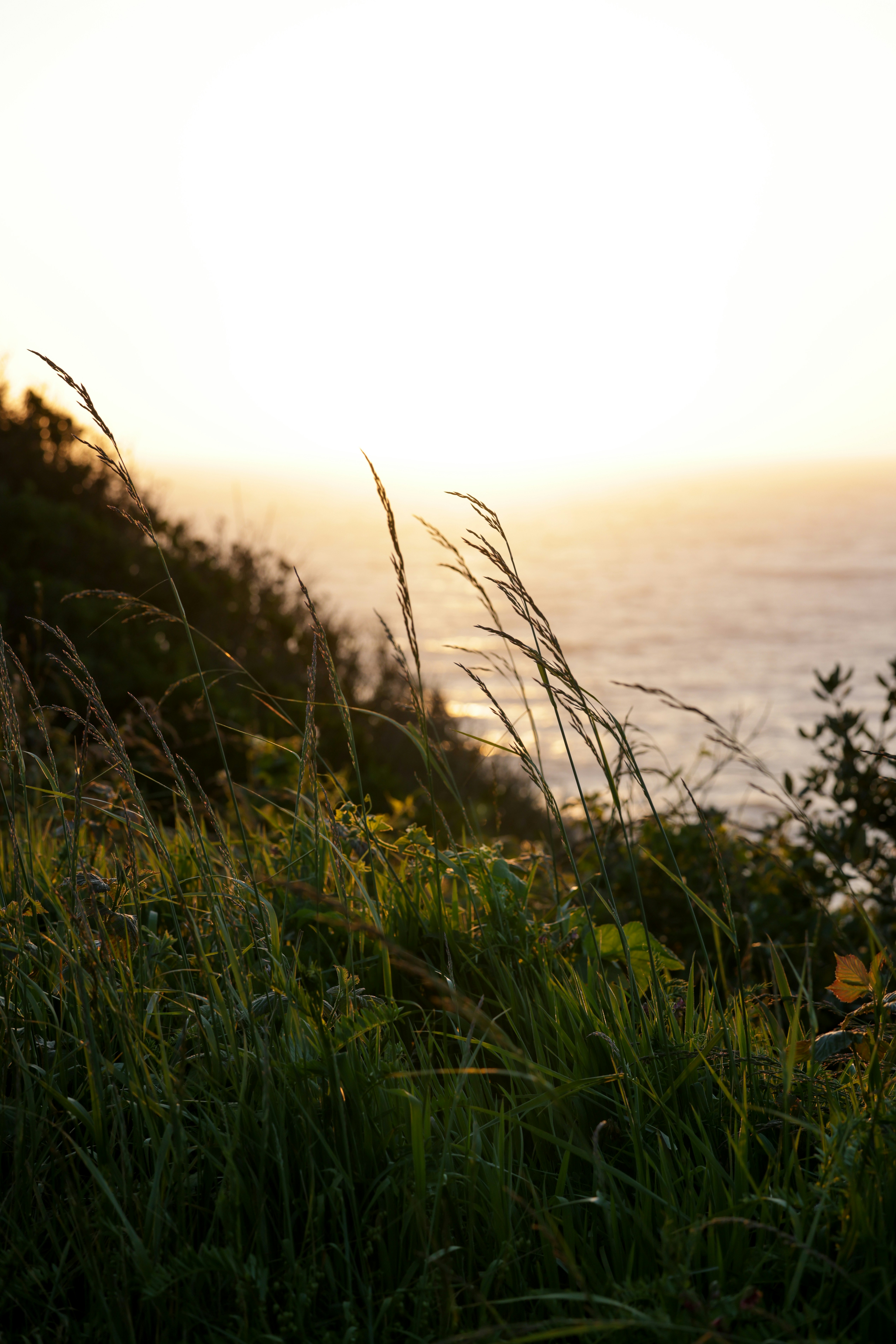 Photo by casunshine0508