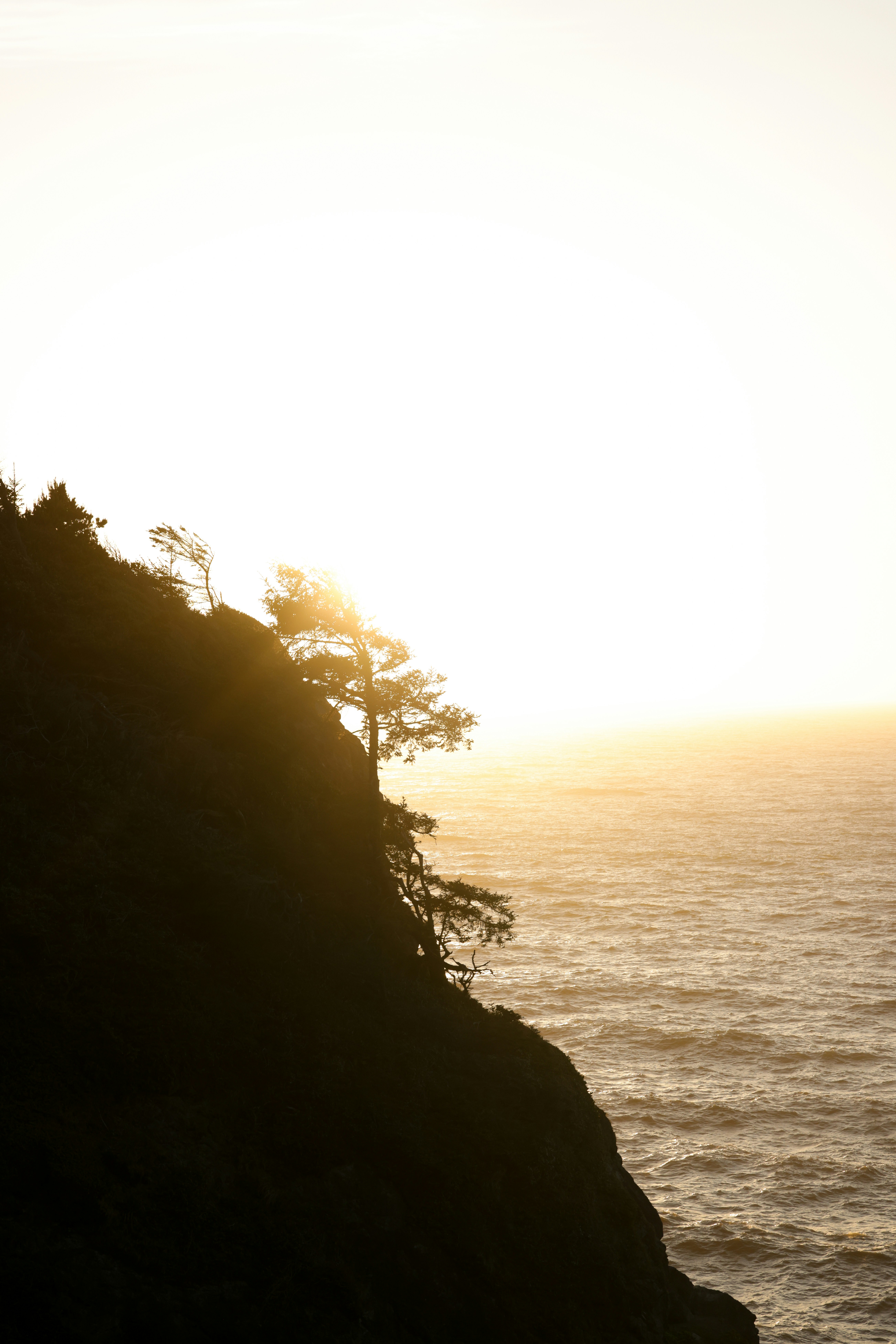 Photo by casunshine0508