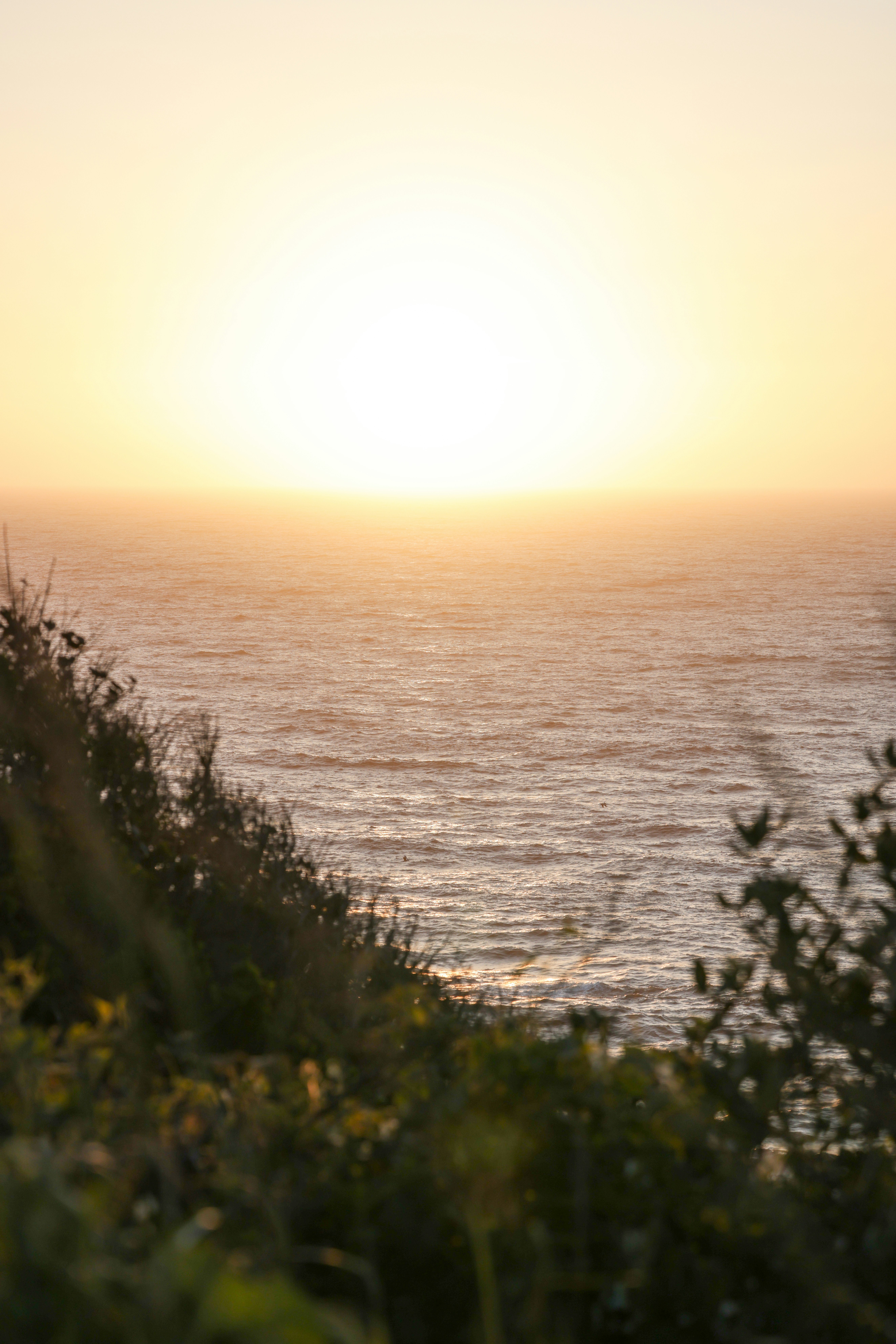 Photo by casunshine0508