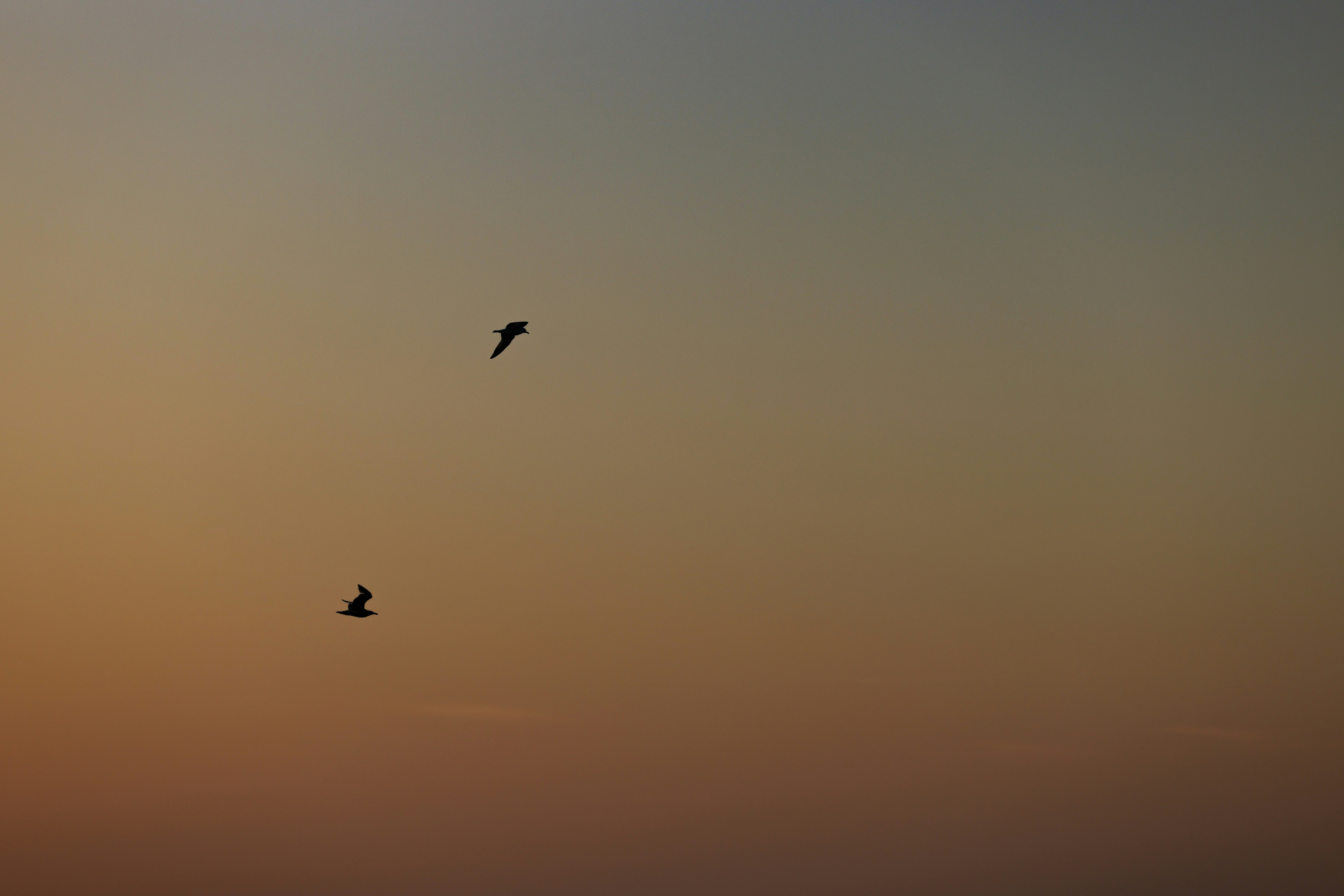 Photo by casunshine0508