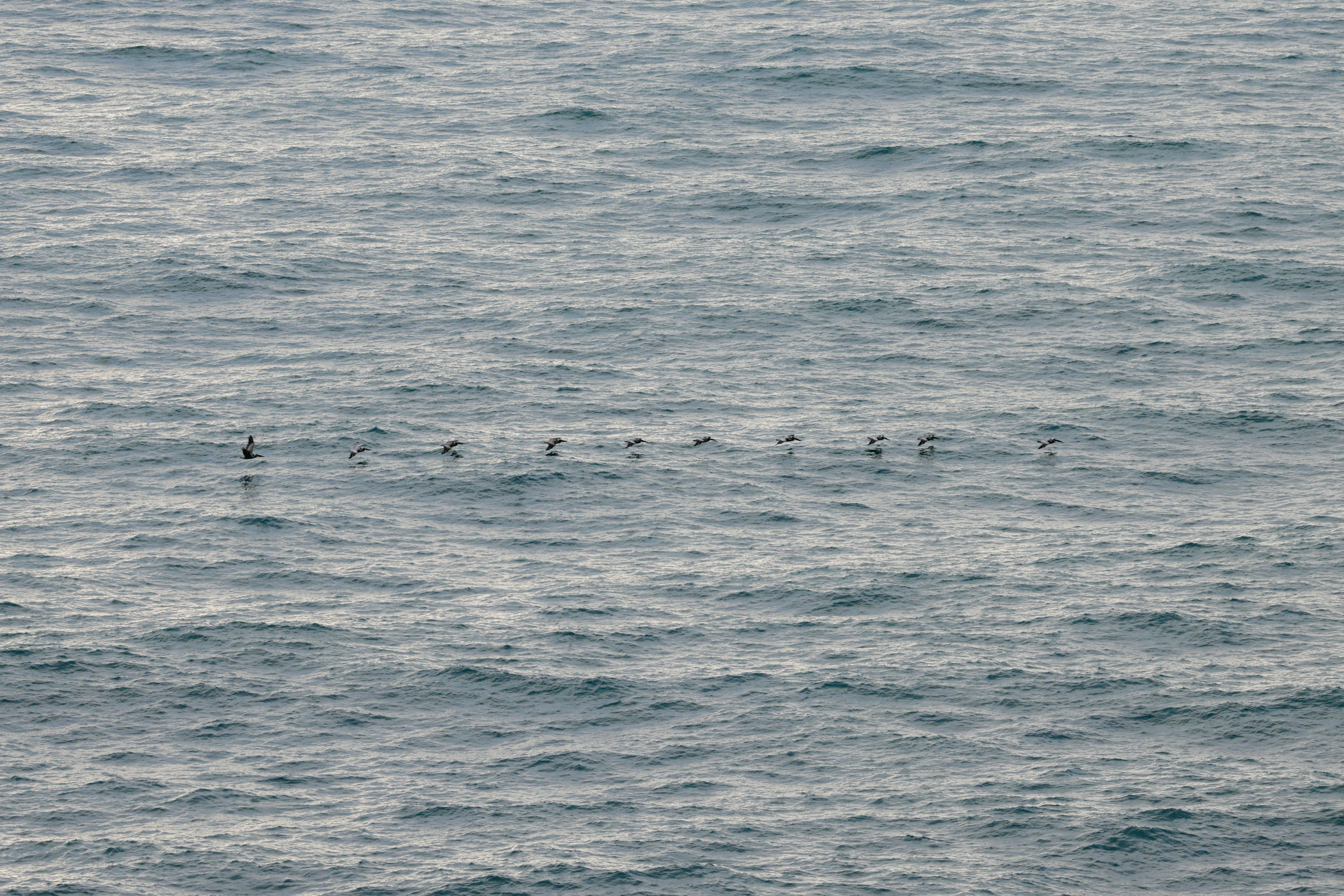 Photo by casunshine0508