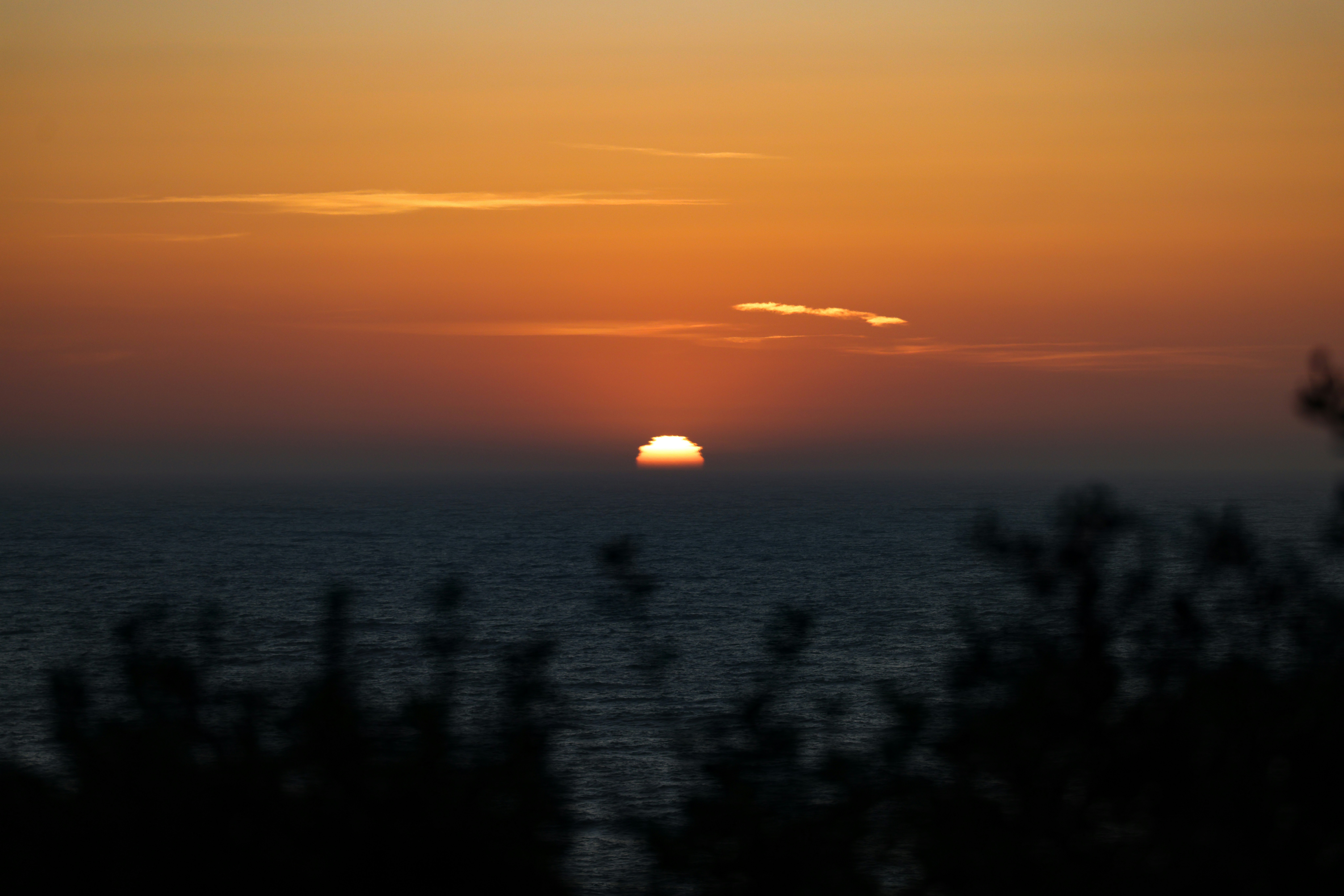 Photo by casunshine0508