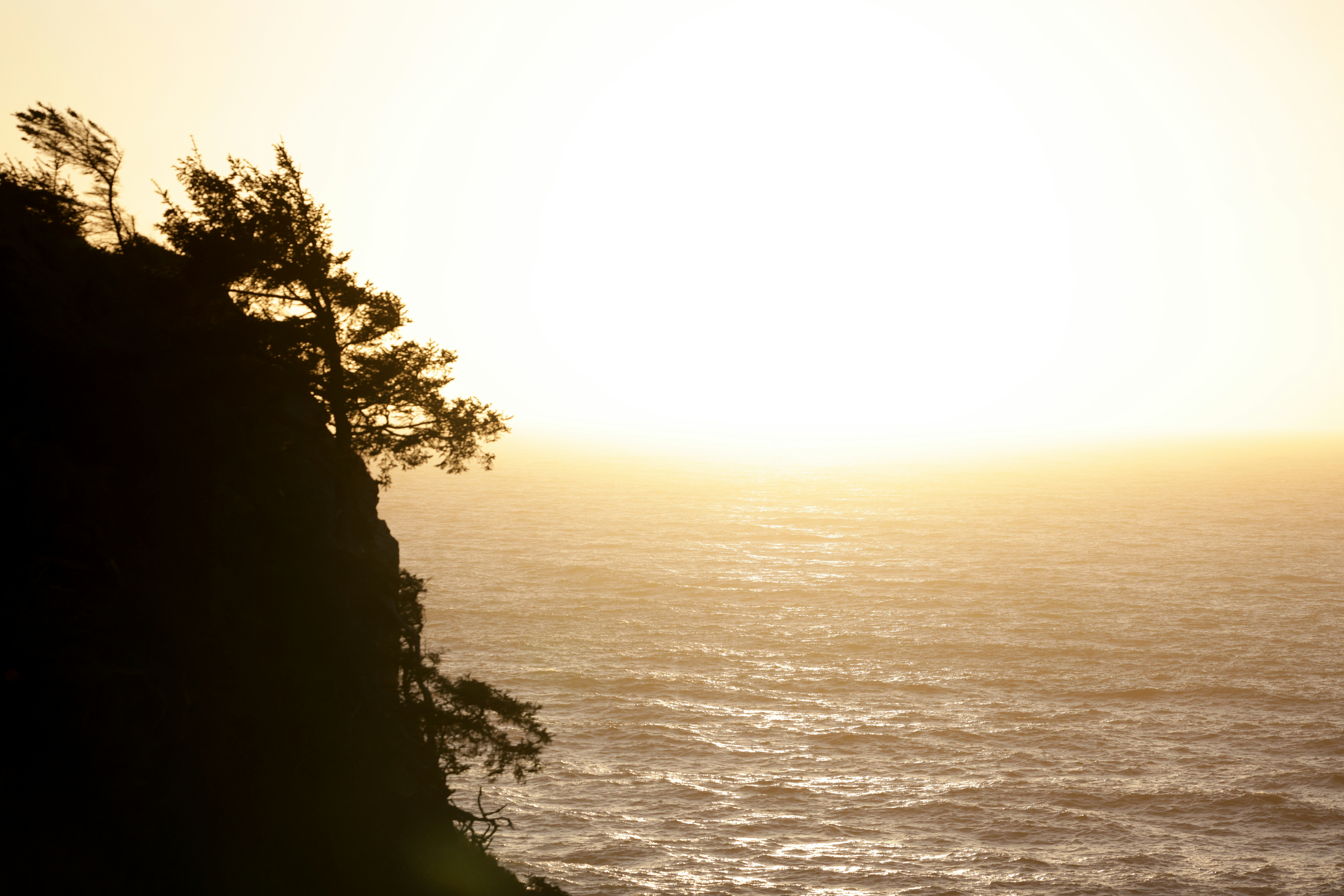 Photo by casunshine0508