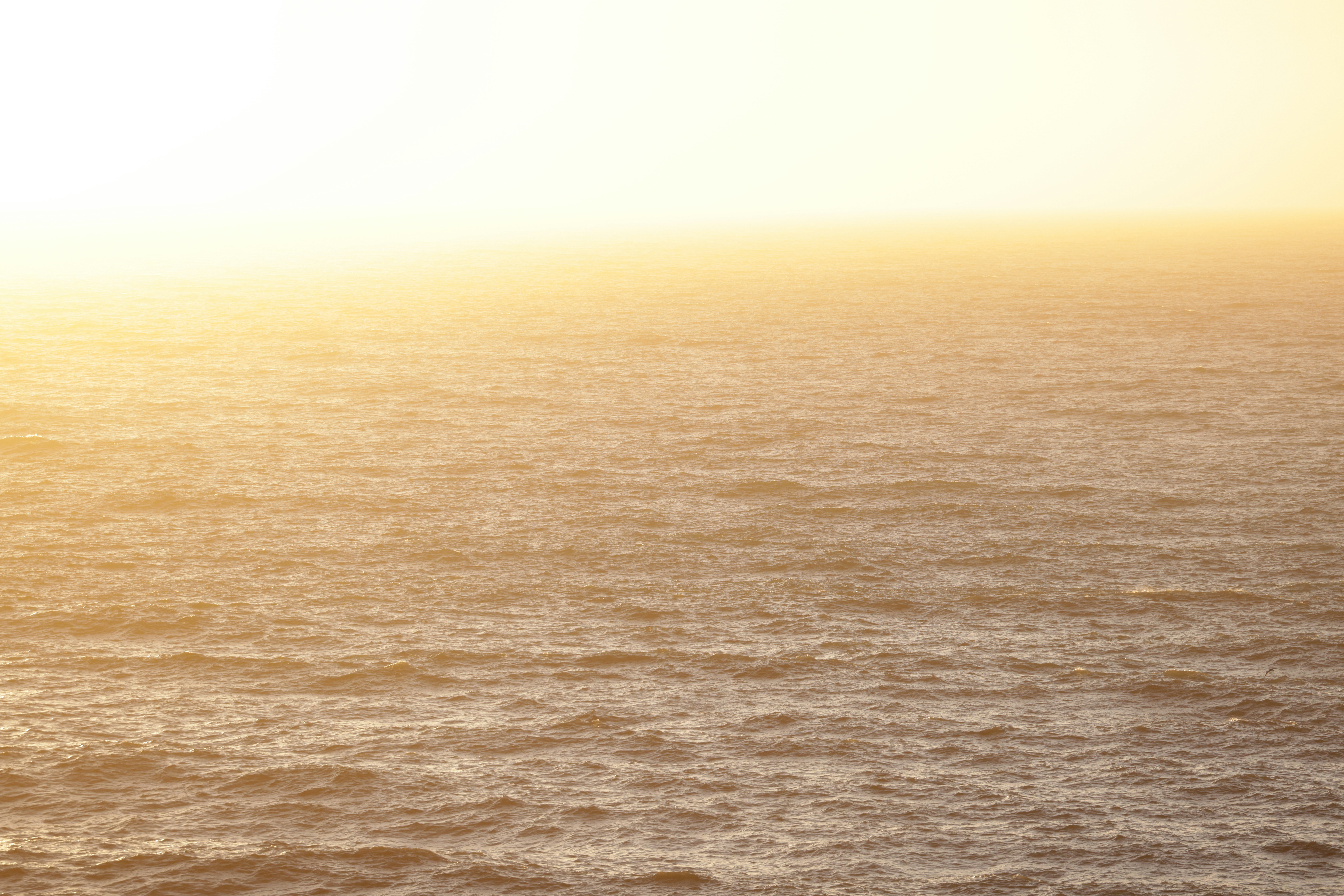 Photo by casunshine0508