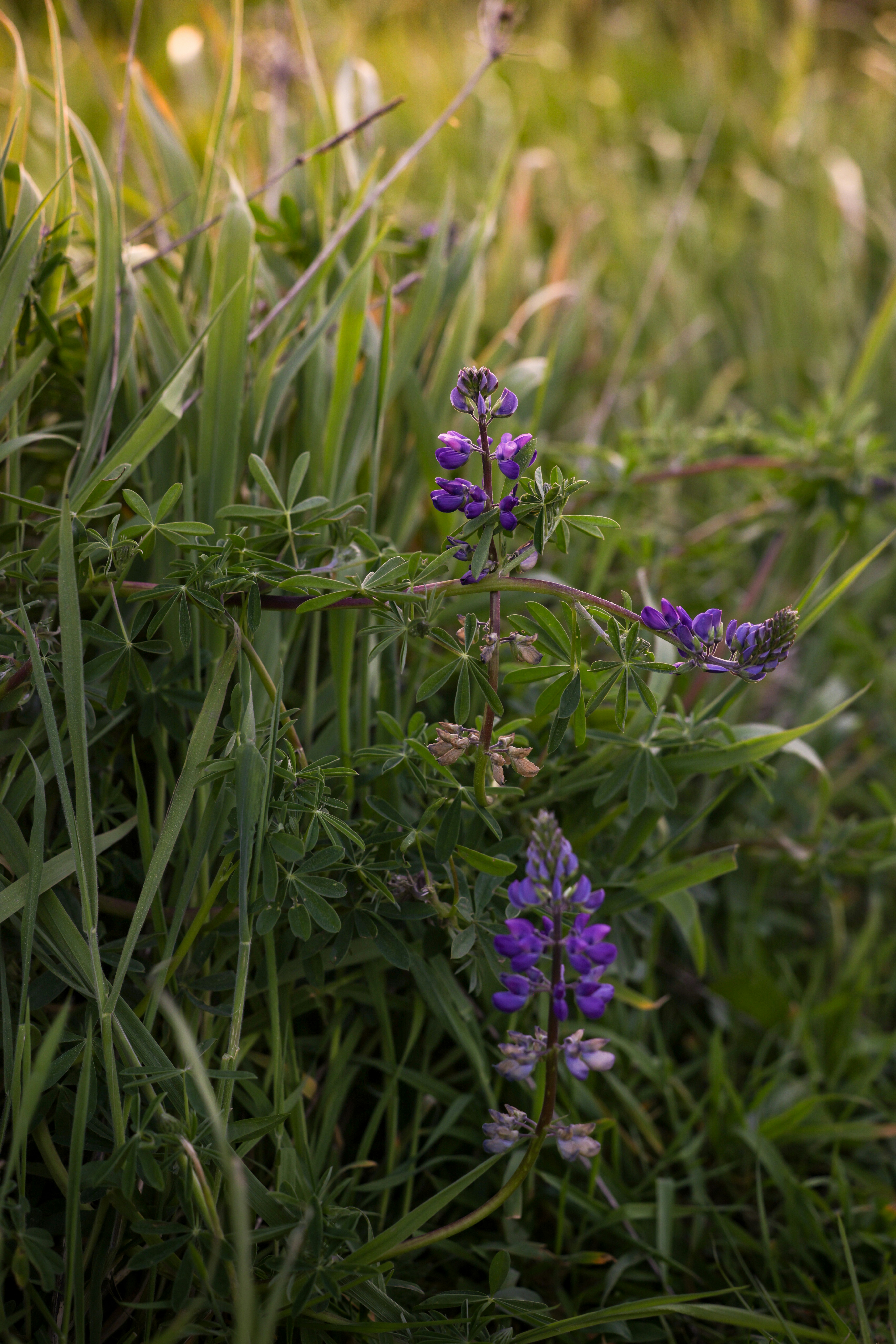 Photo by casunshine0508