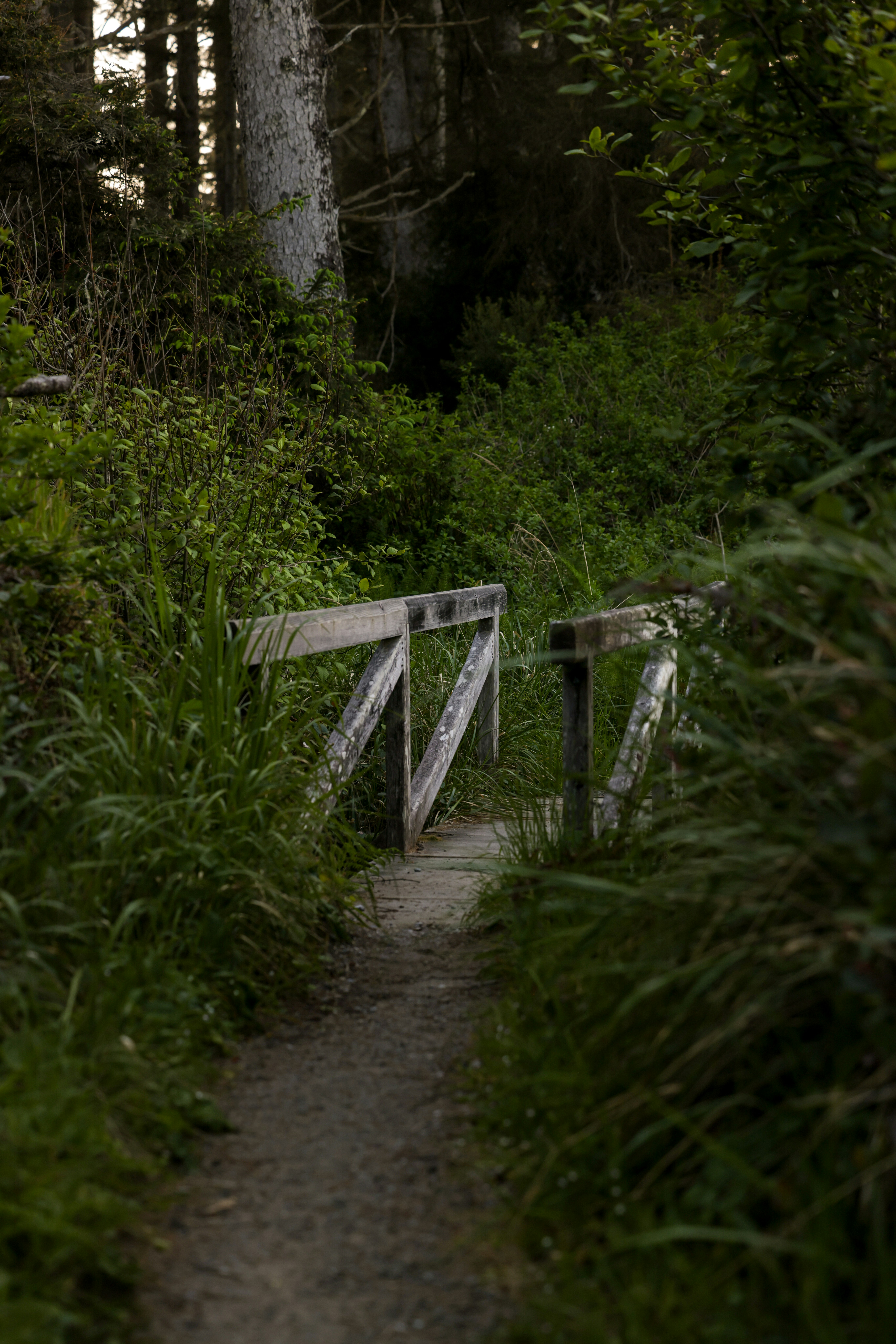 Photo by casunshine0508