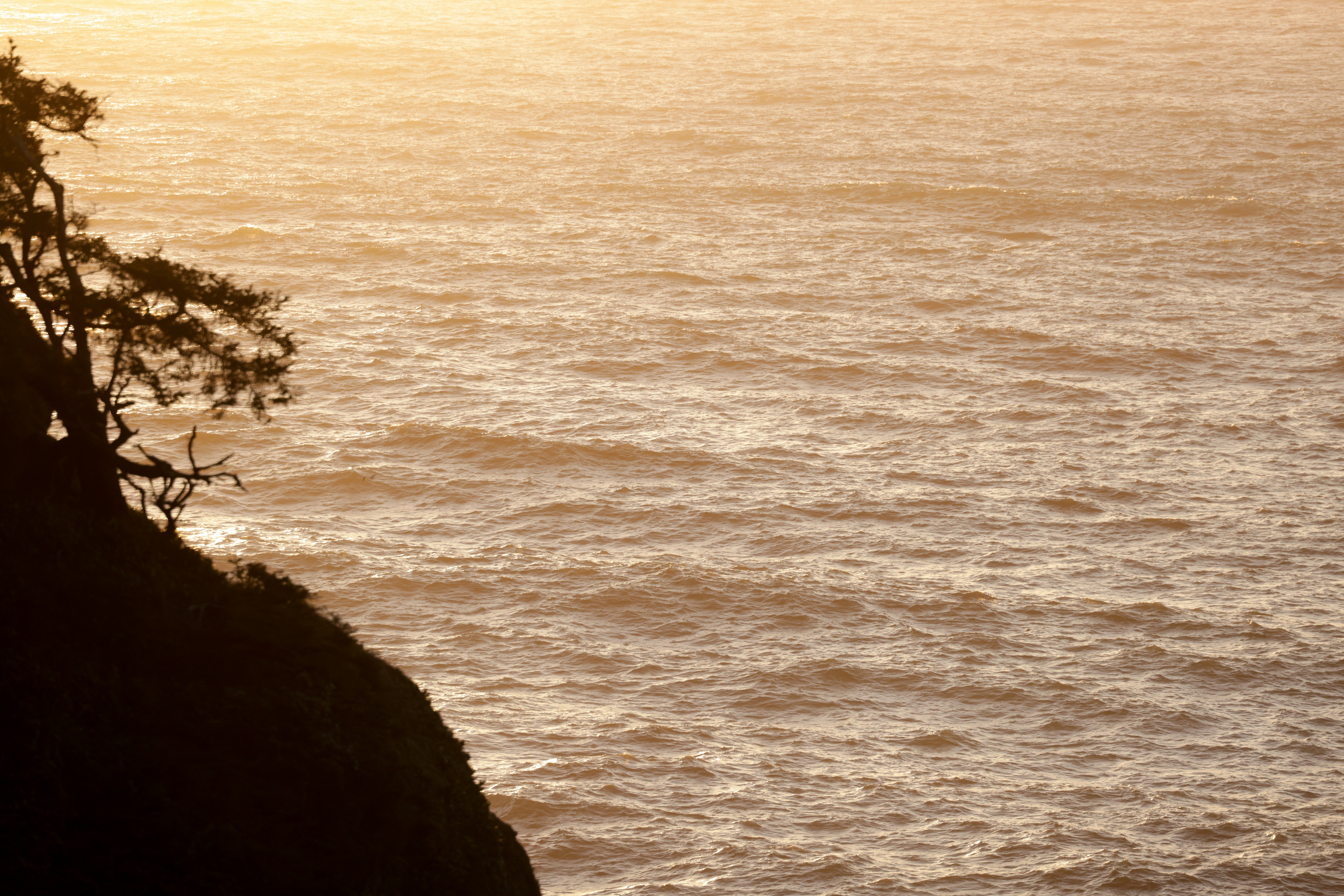 Photo by casunshine0508