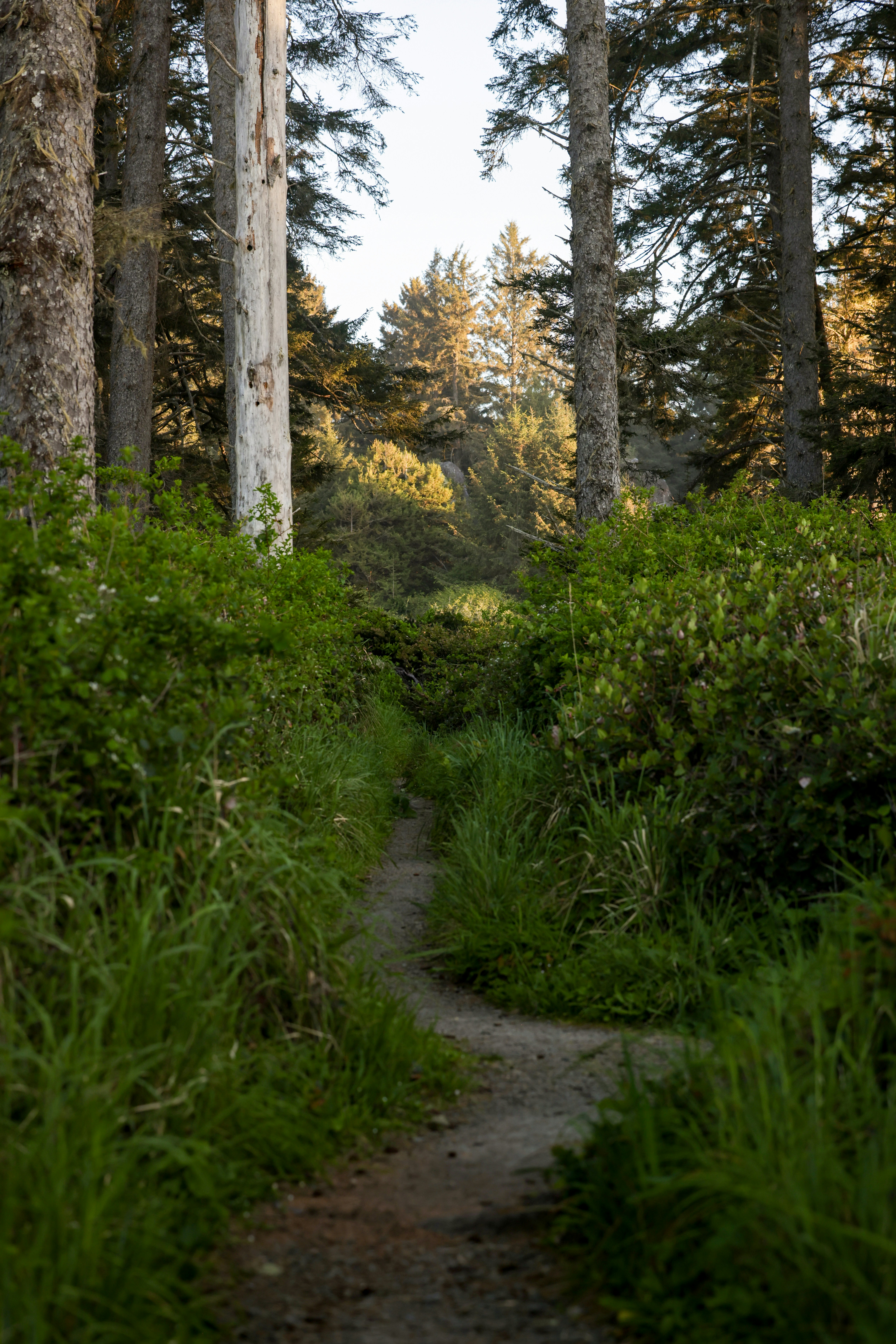 Photo by casunshine0508