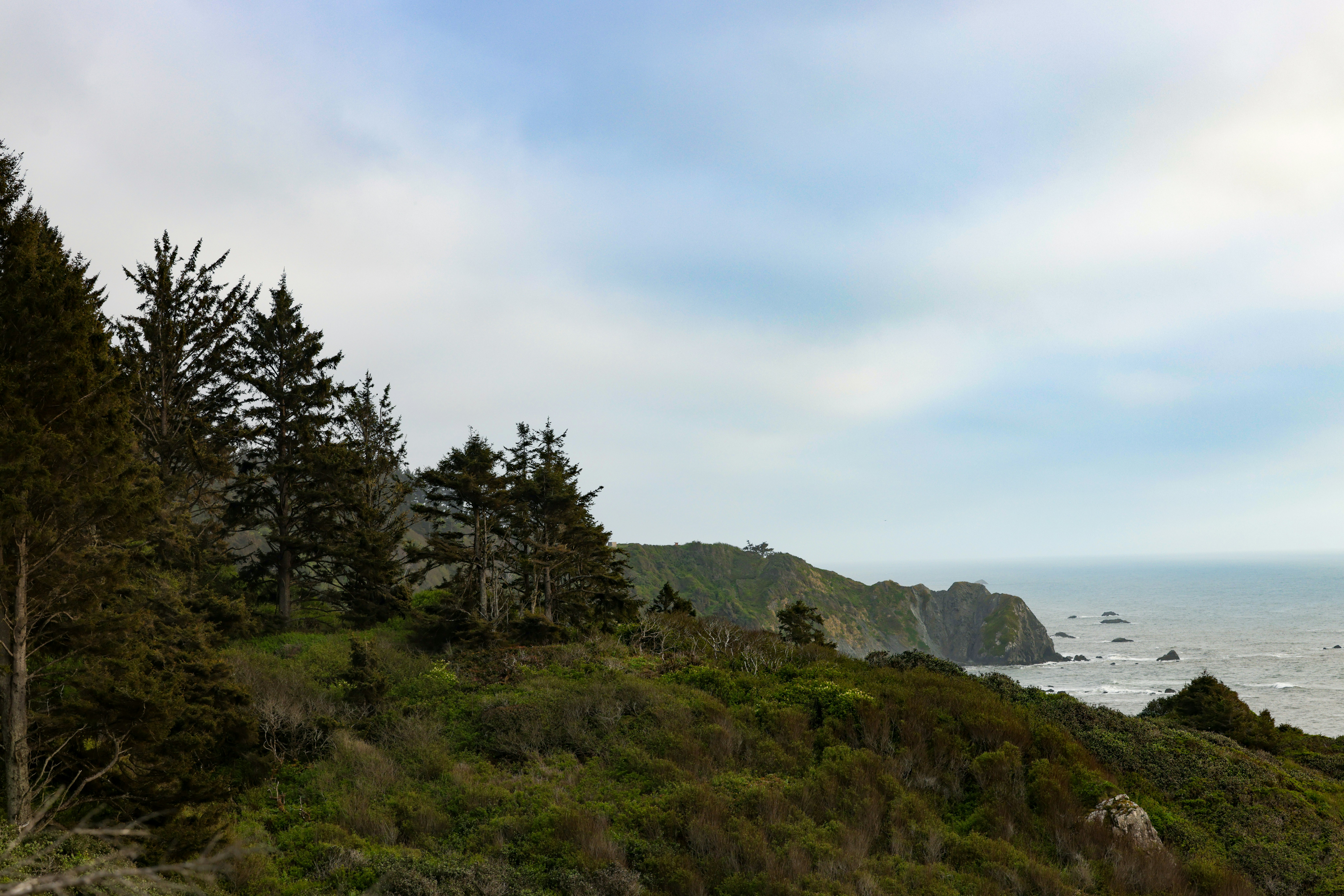 Photo by casunshine0508