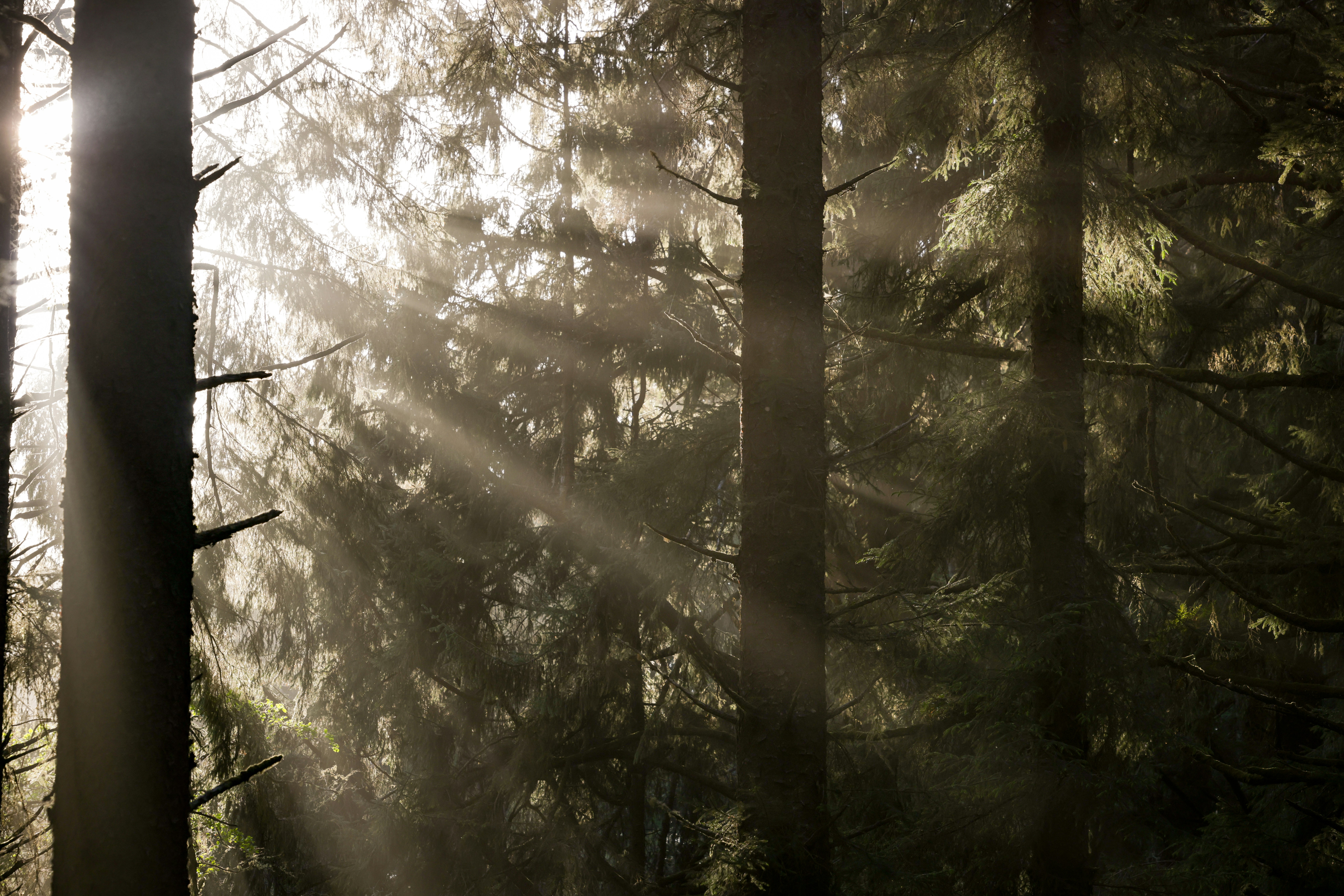 Photo by casunshine0508