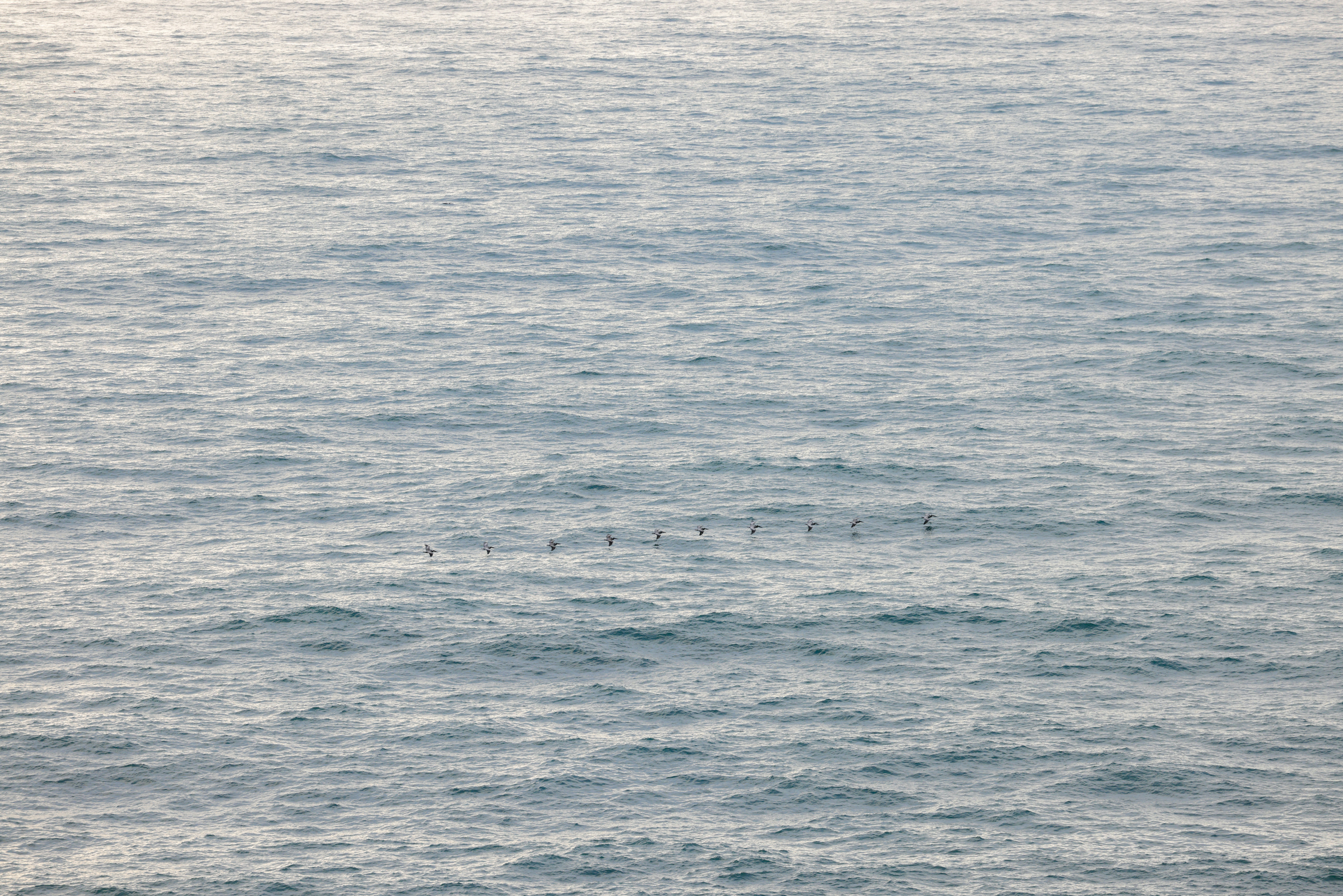 Photo by casunshine0508