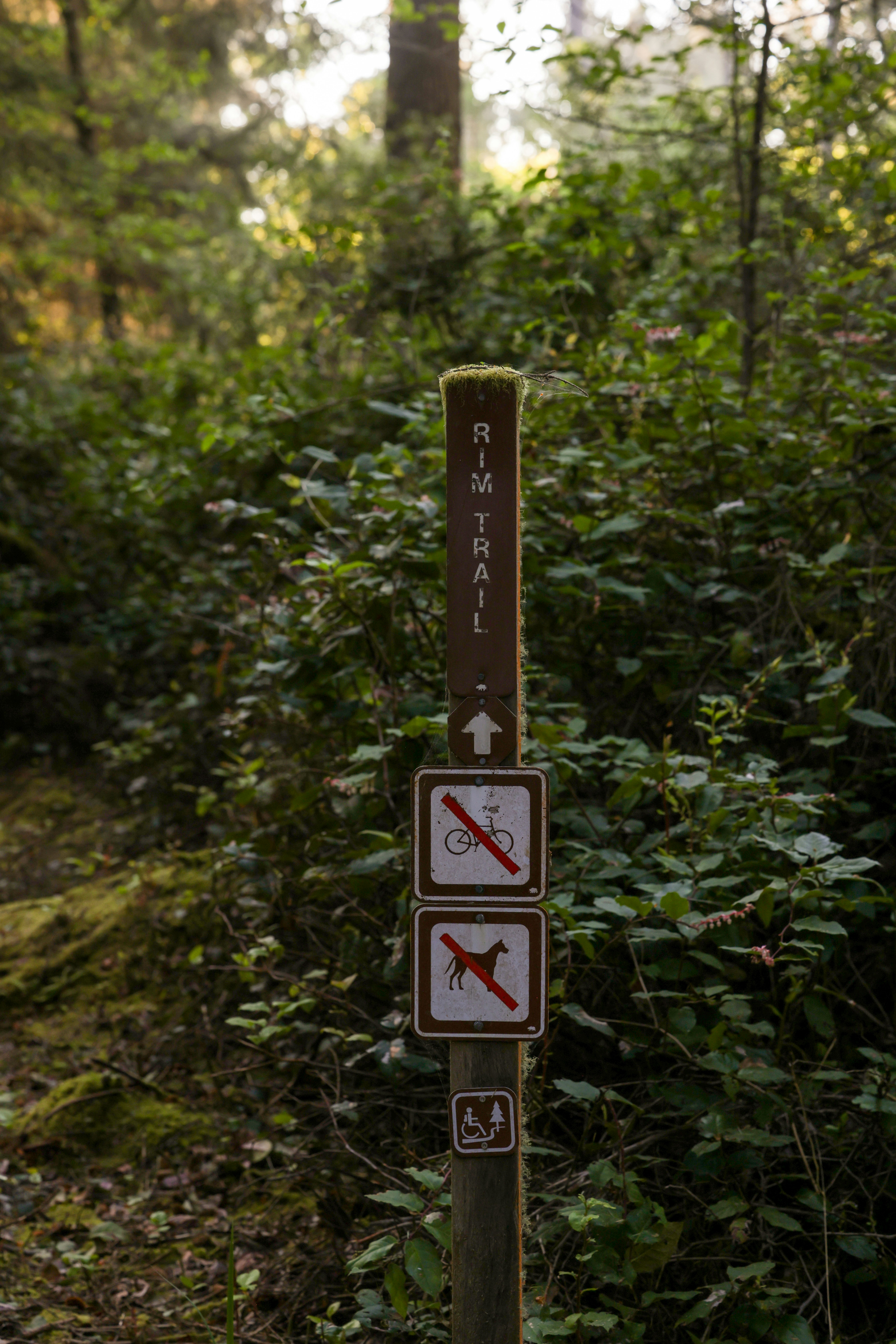 Photo by casunshine0508