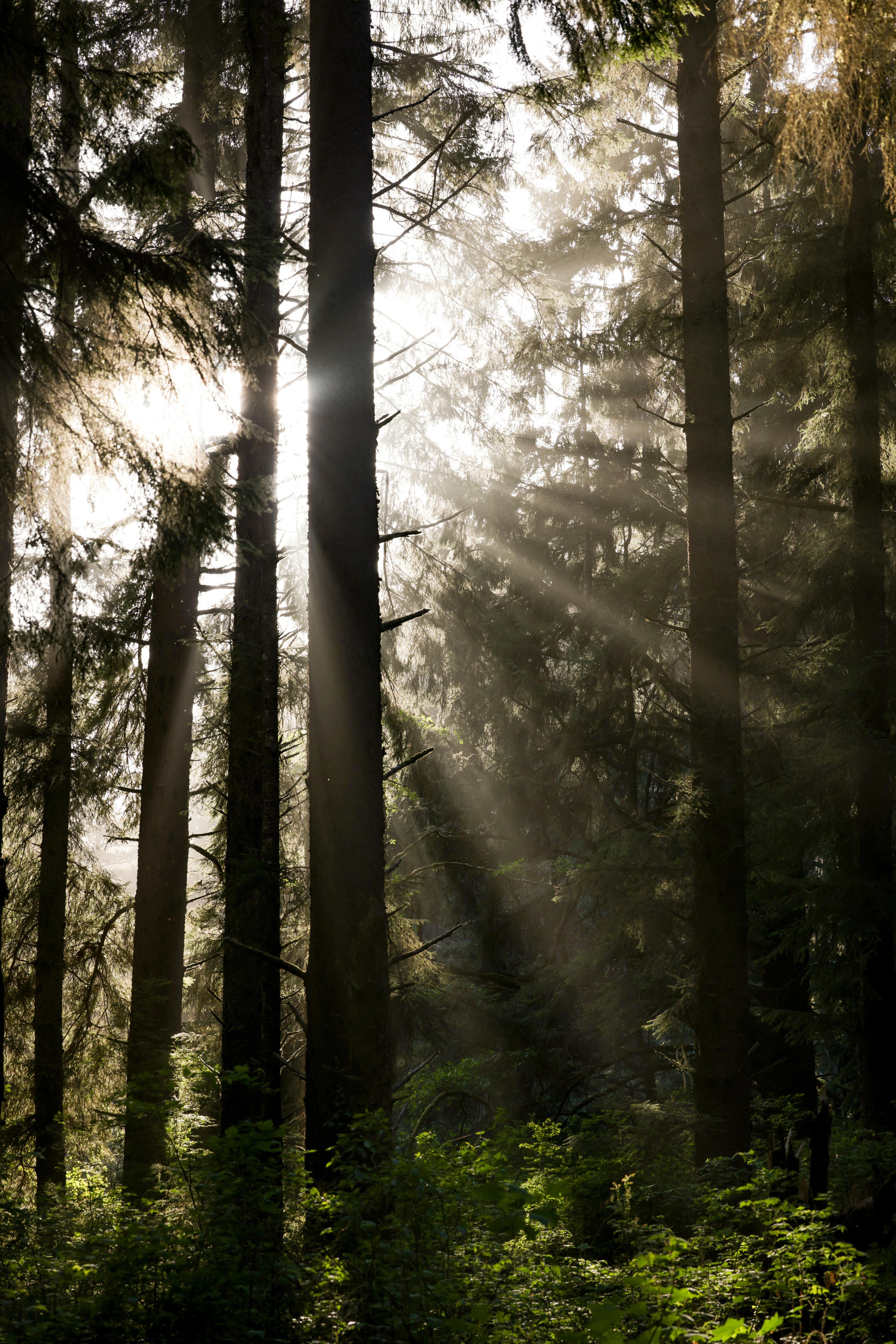 Photo by casunshine0508