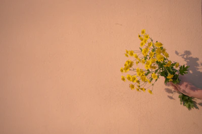 Hand holding yellow flowers against a peach wall.