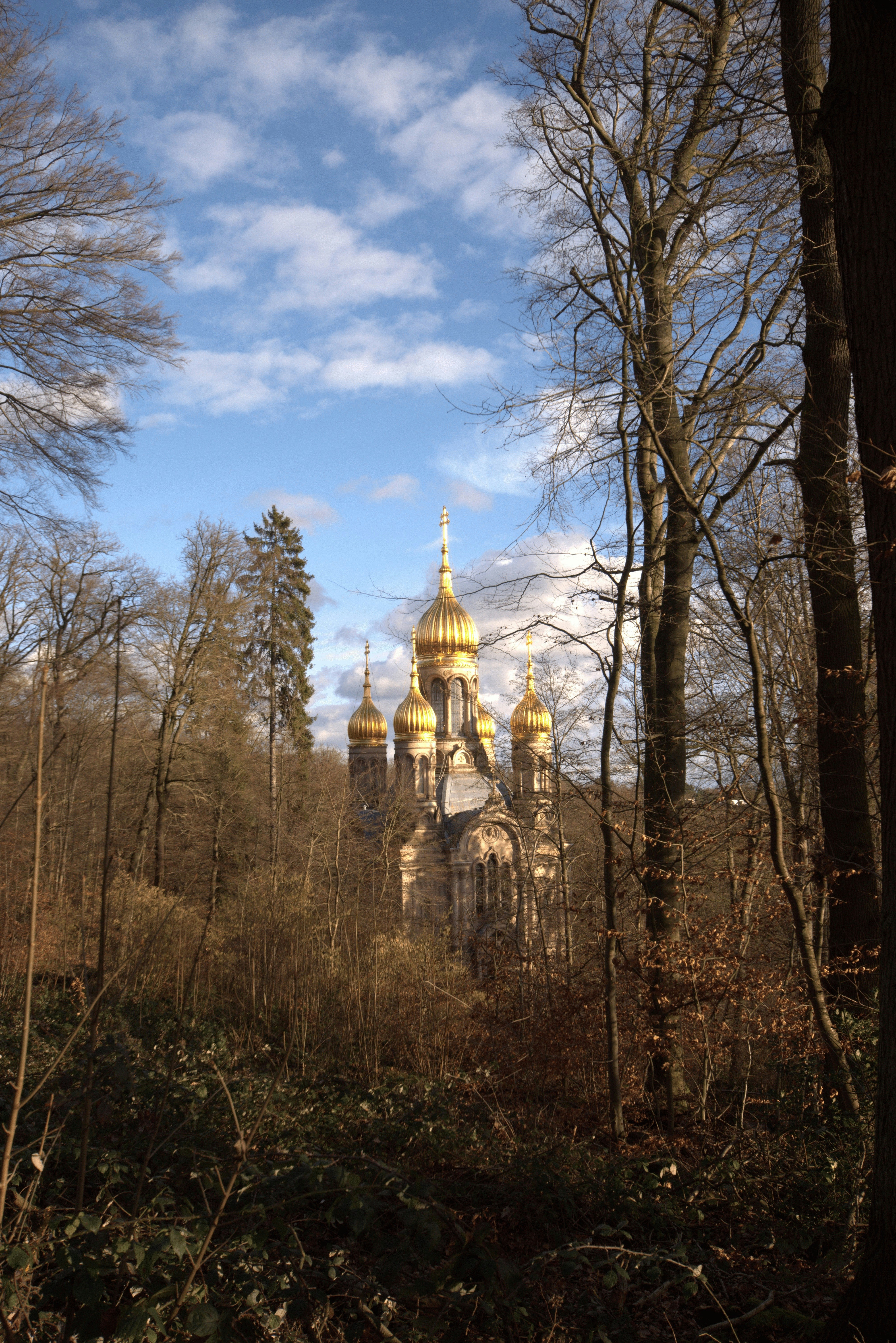 A golden-domed church is seen through the trees.