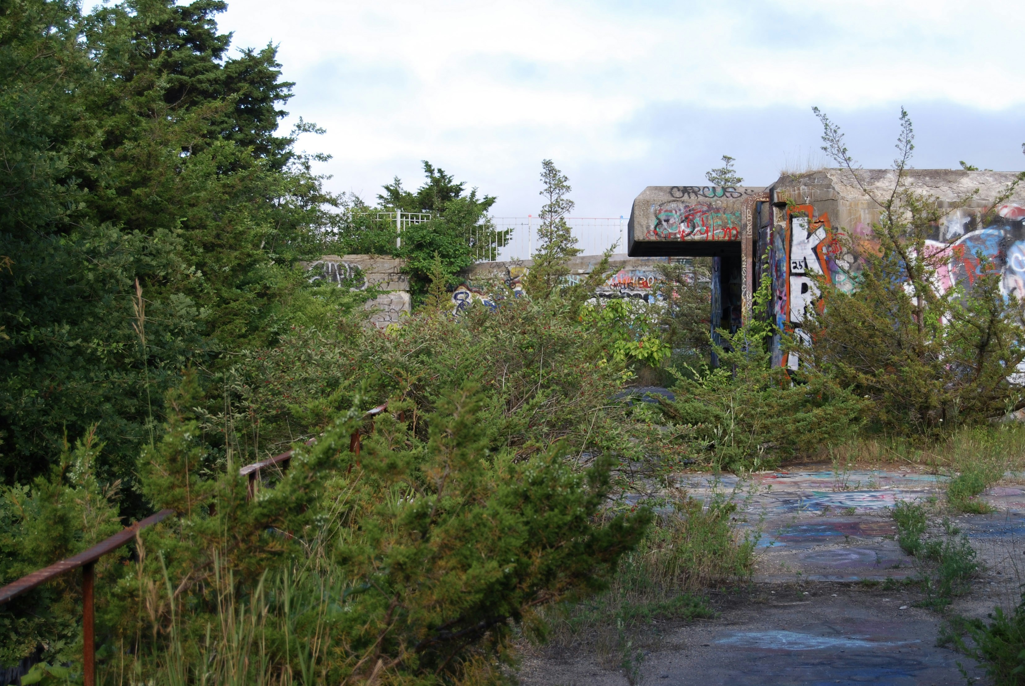 Overgrown concrete bunker with graffiti.