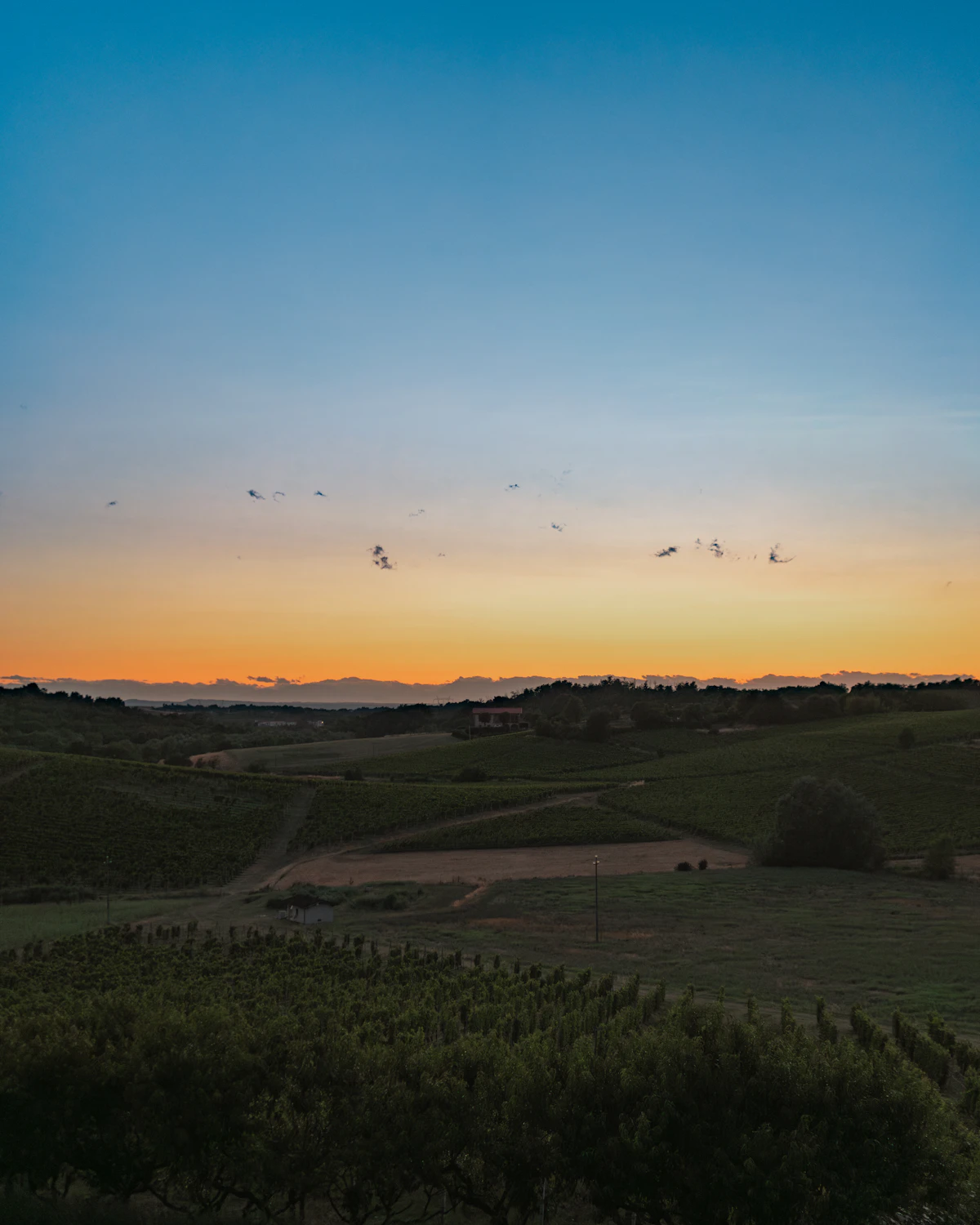 Scenic view of Piemonte, Italy