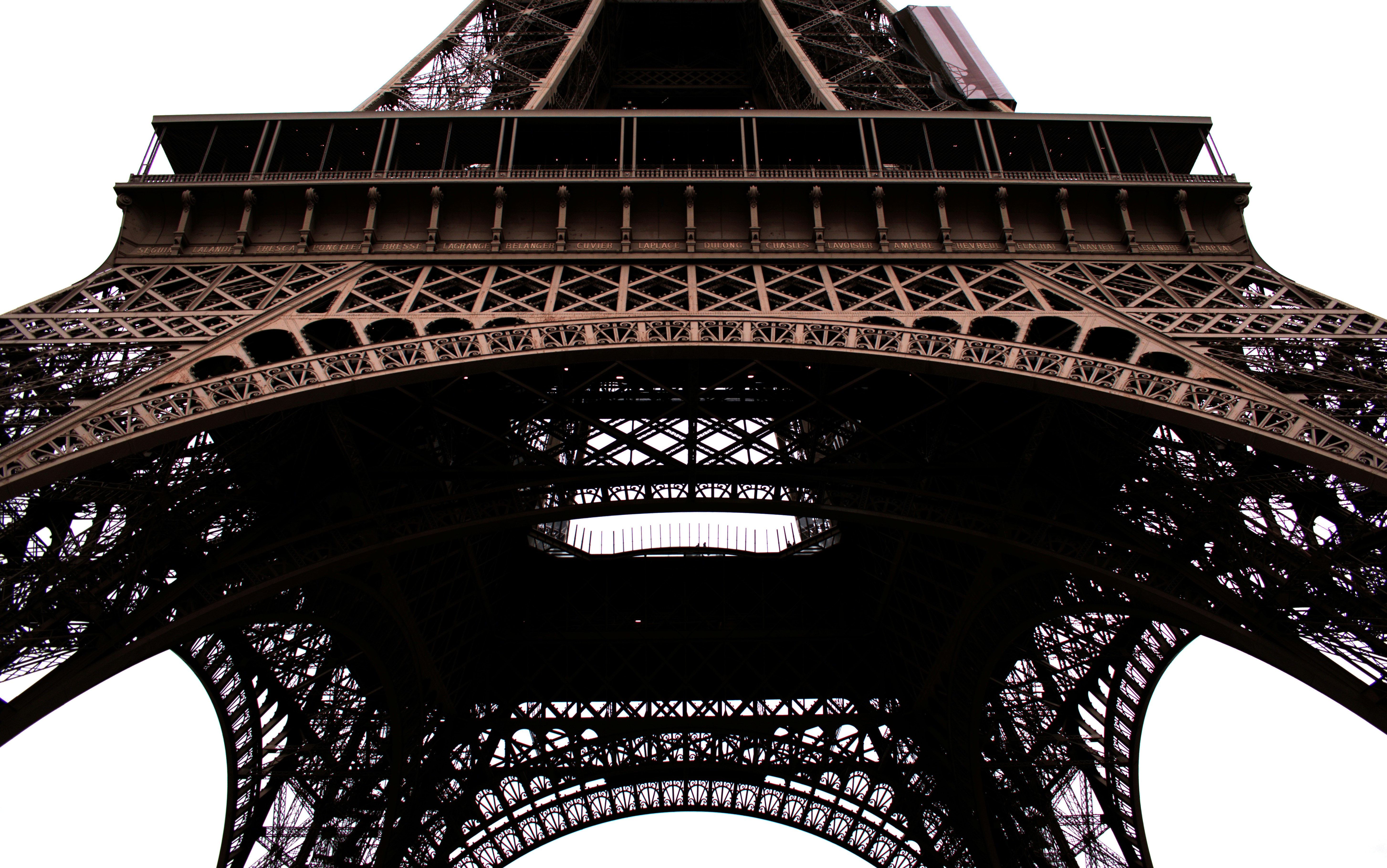 Photo by prestonyadegar