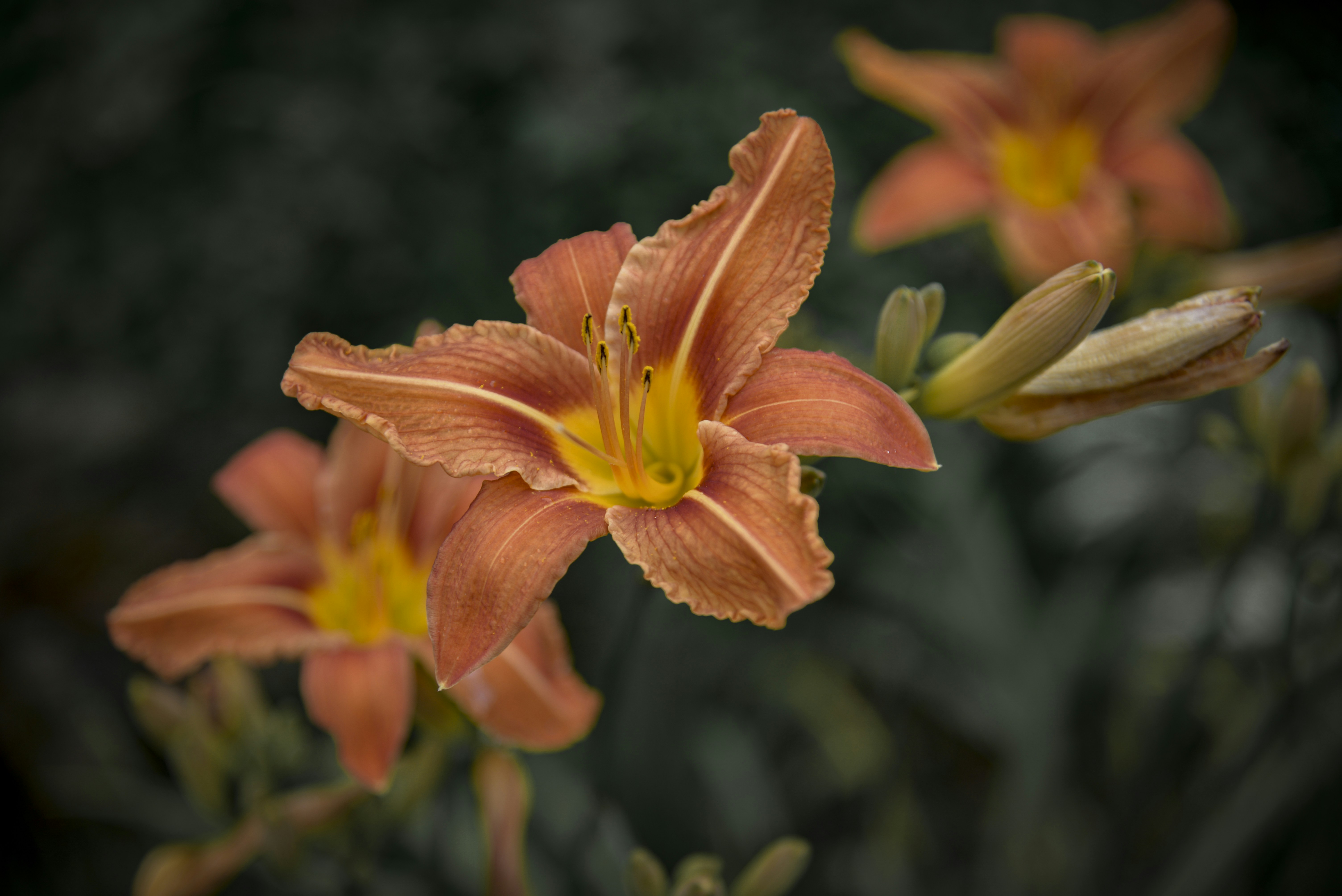 Photo by malwinanogaj