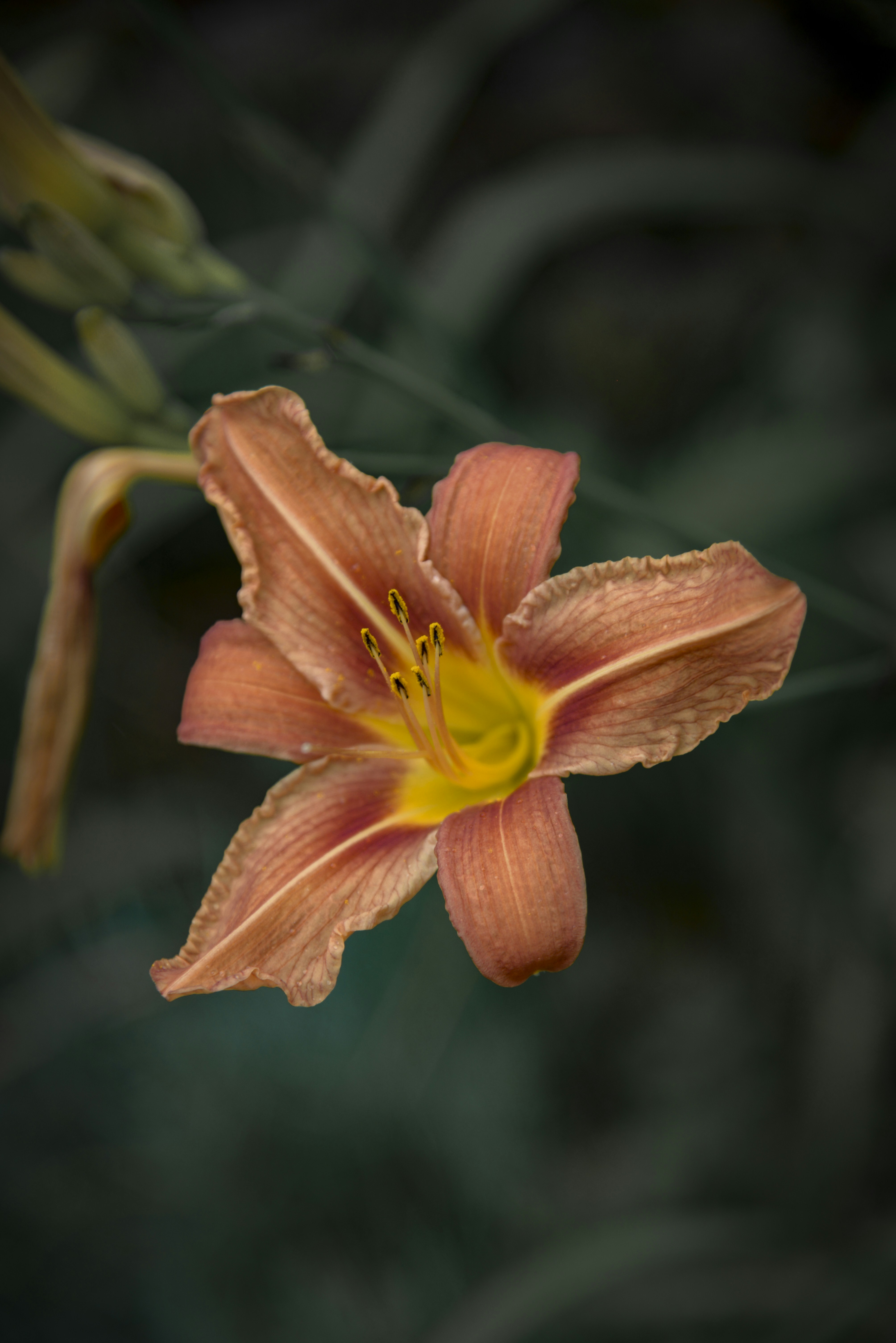 Photo by malwinanogaj