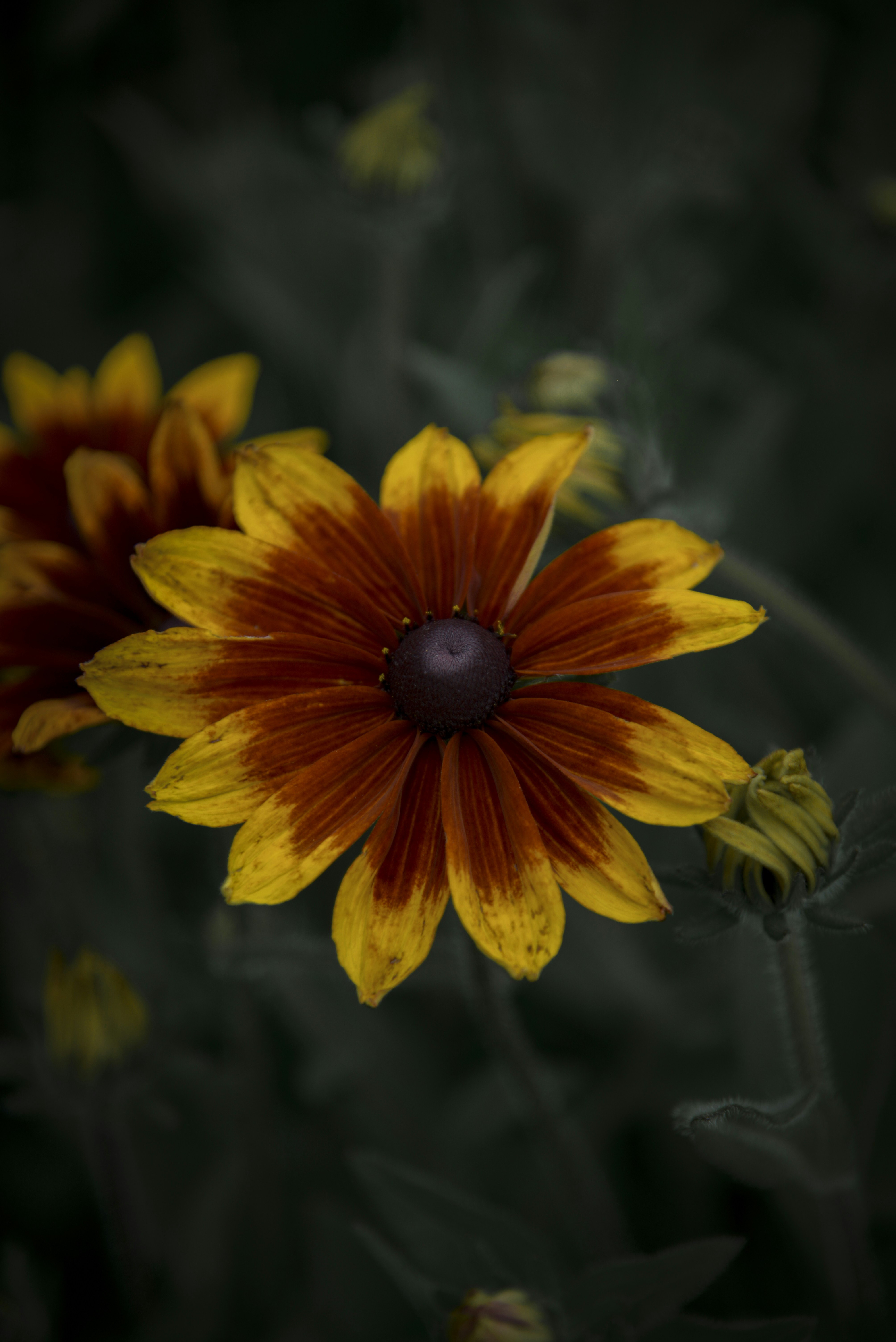 Photo by malwinanogaj