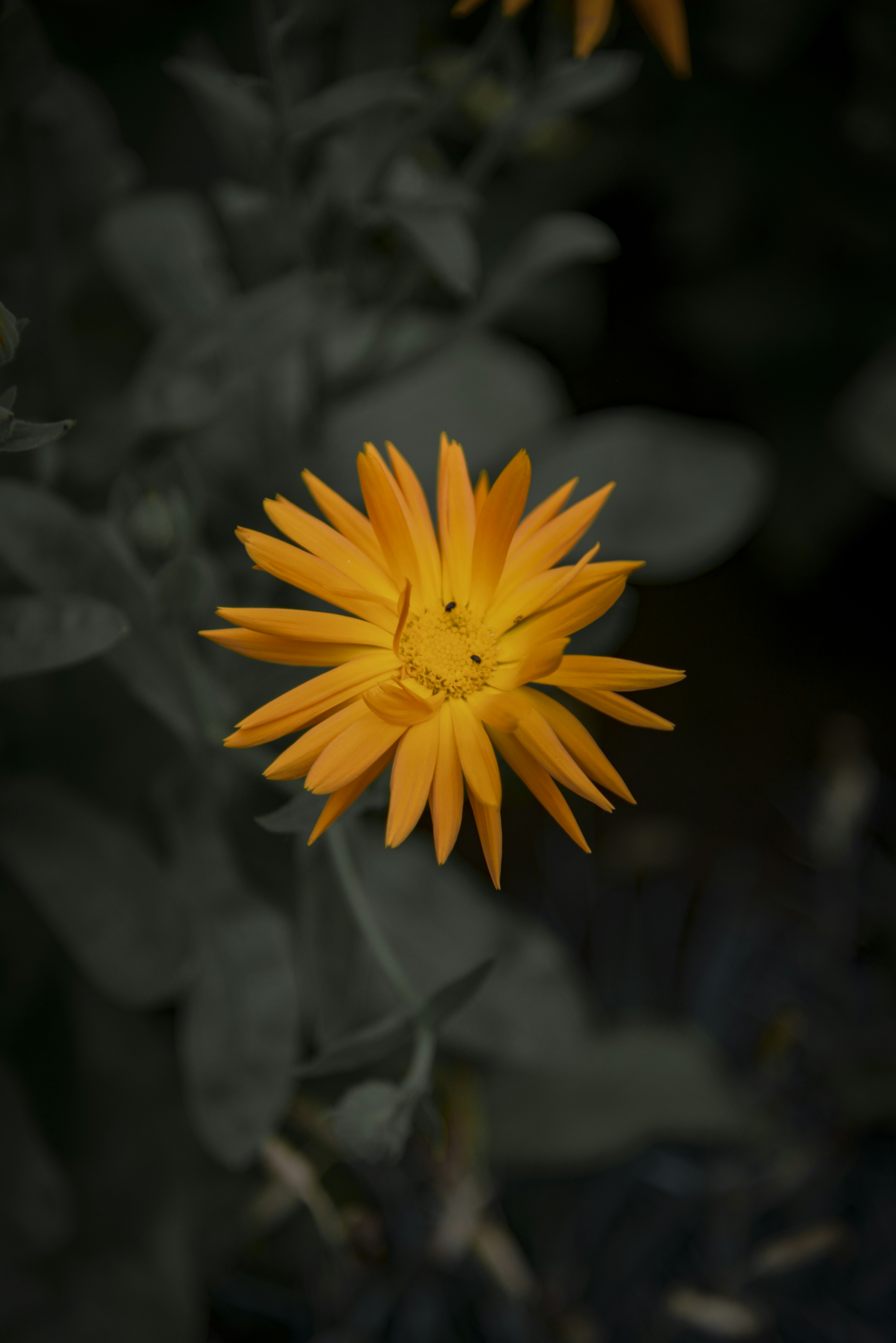 Photo by malwinanogaj