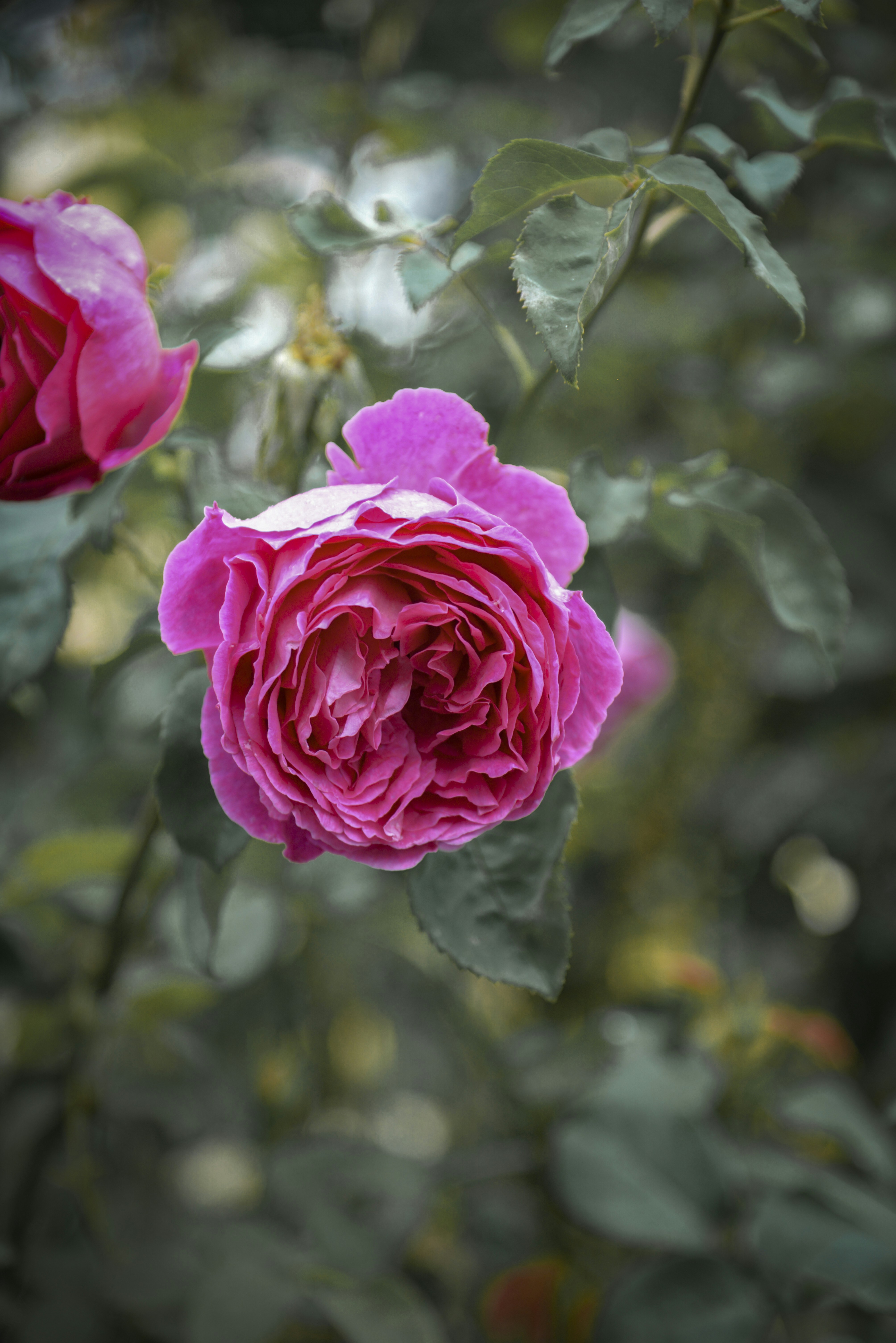 Photo by malwinanogaj