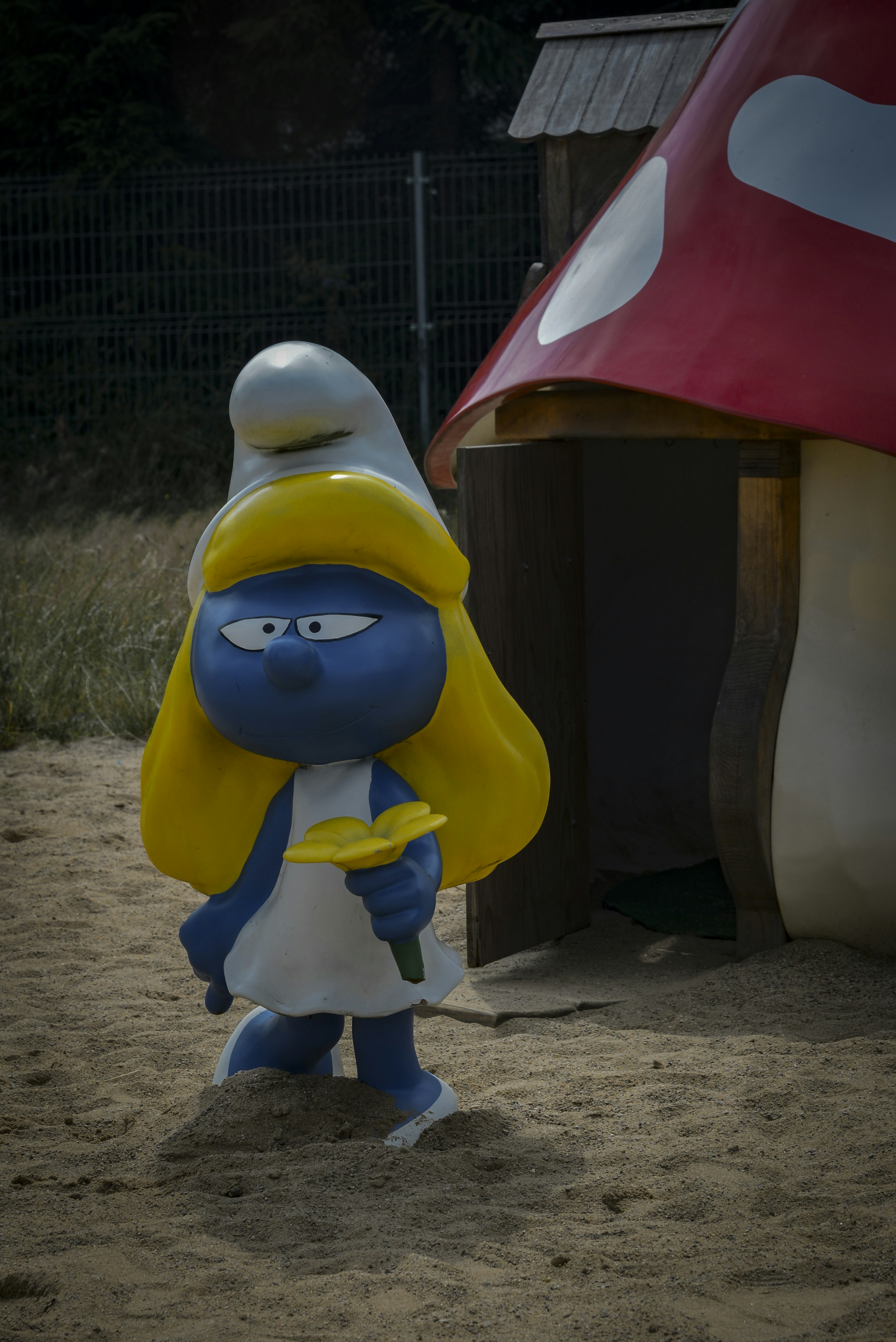 Photo by malwinanogaj