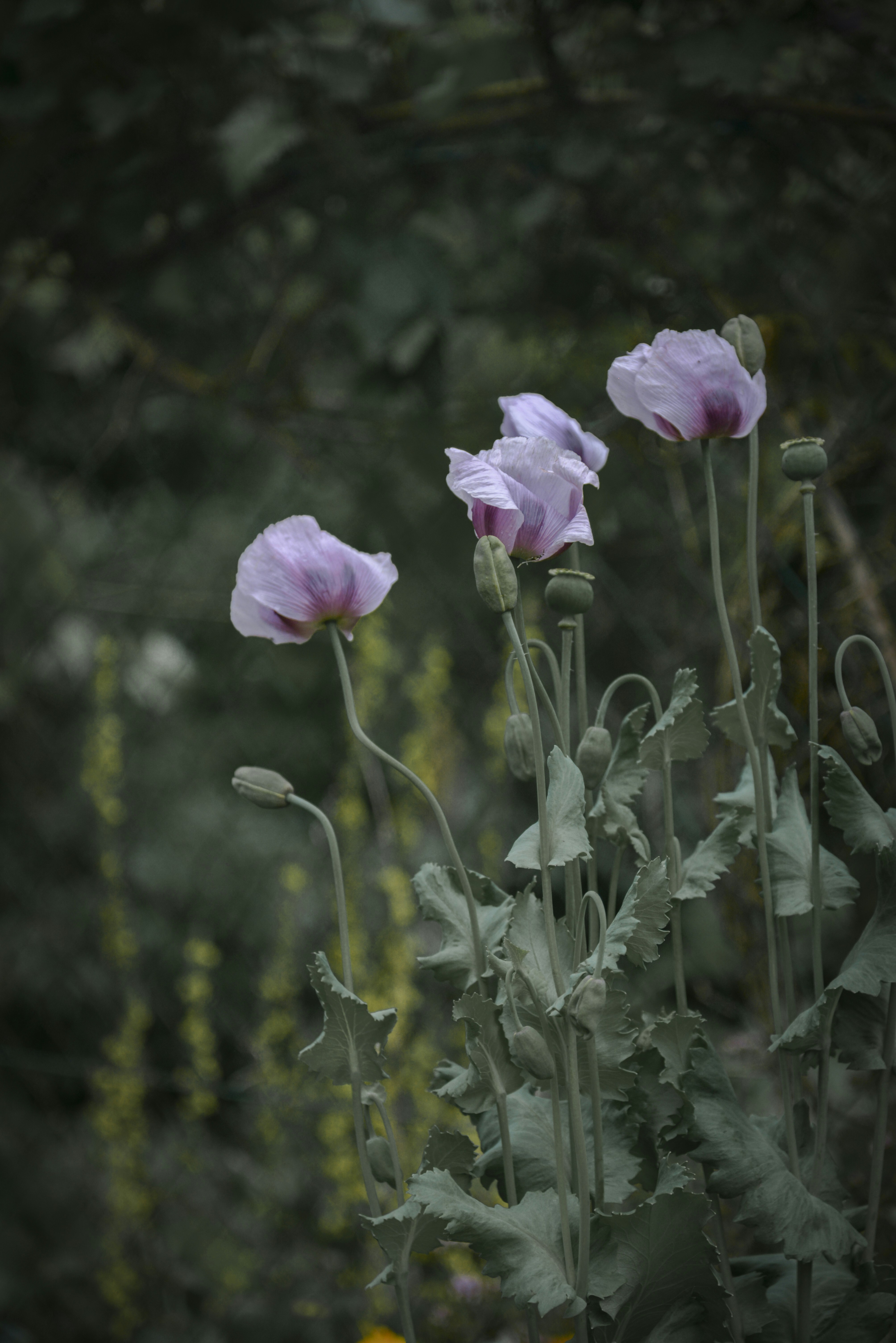 Photo by malwinanogaj