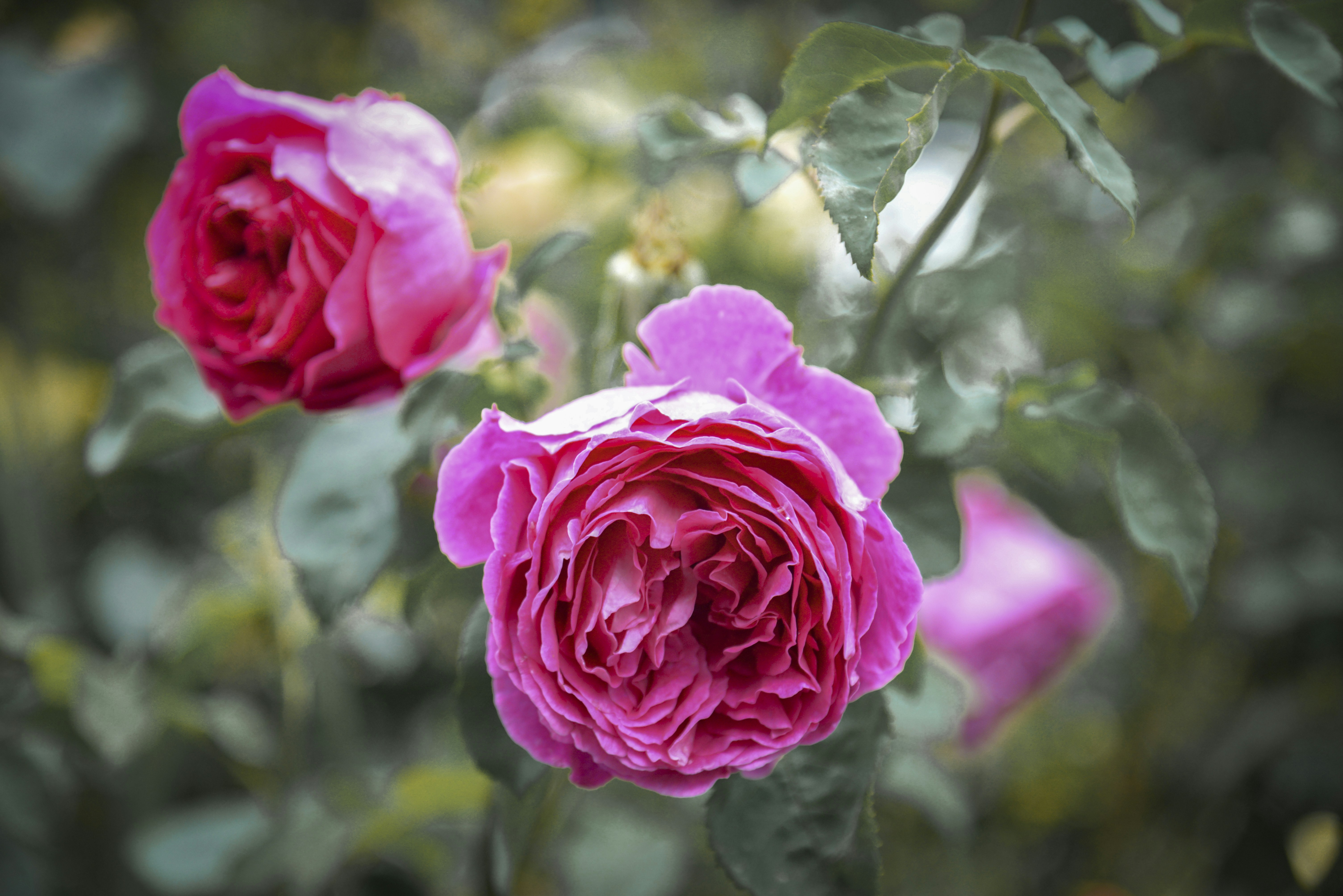 Photo by malwinanogaj