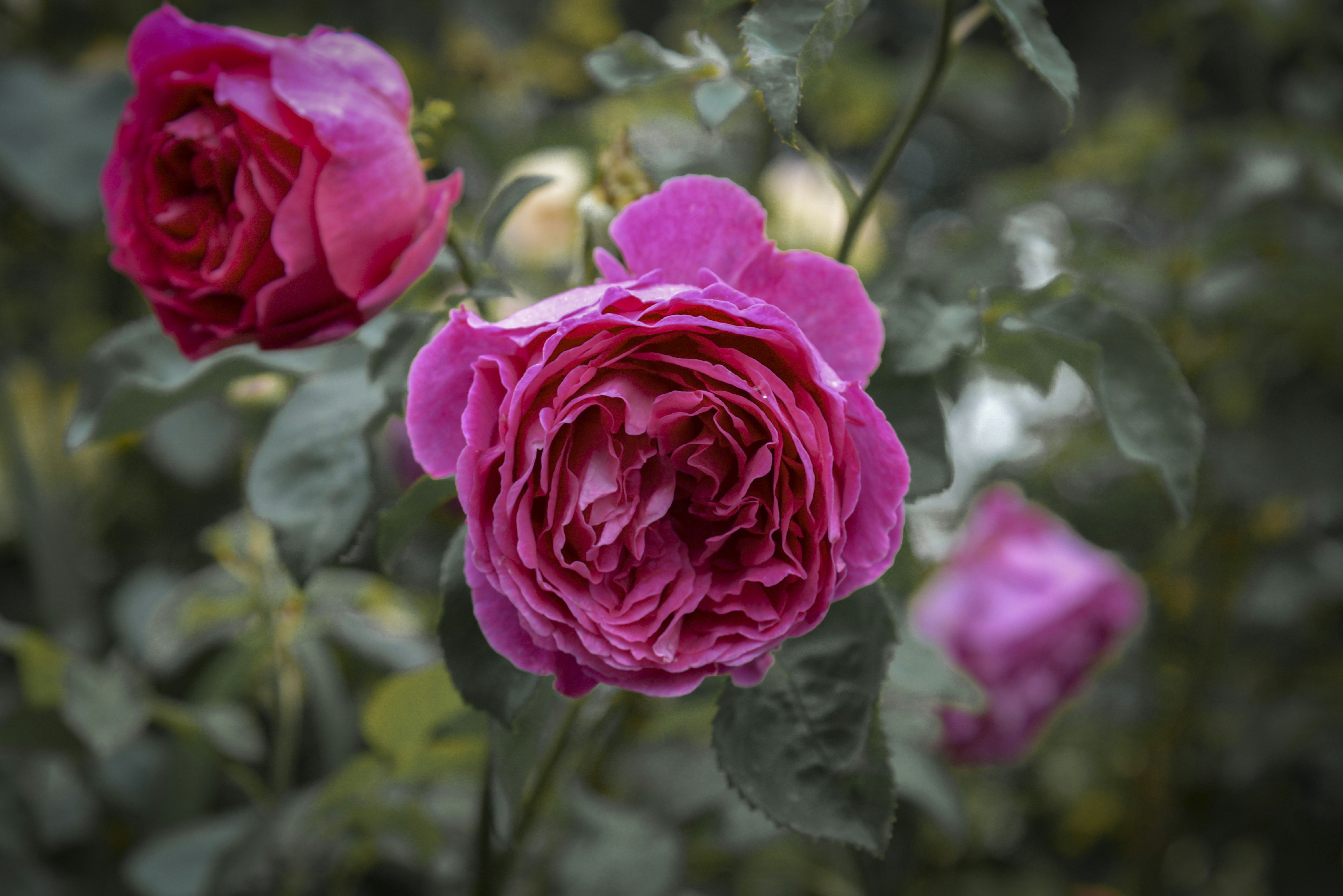 Photo by malwinanogaj