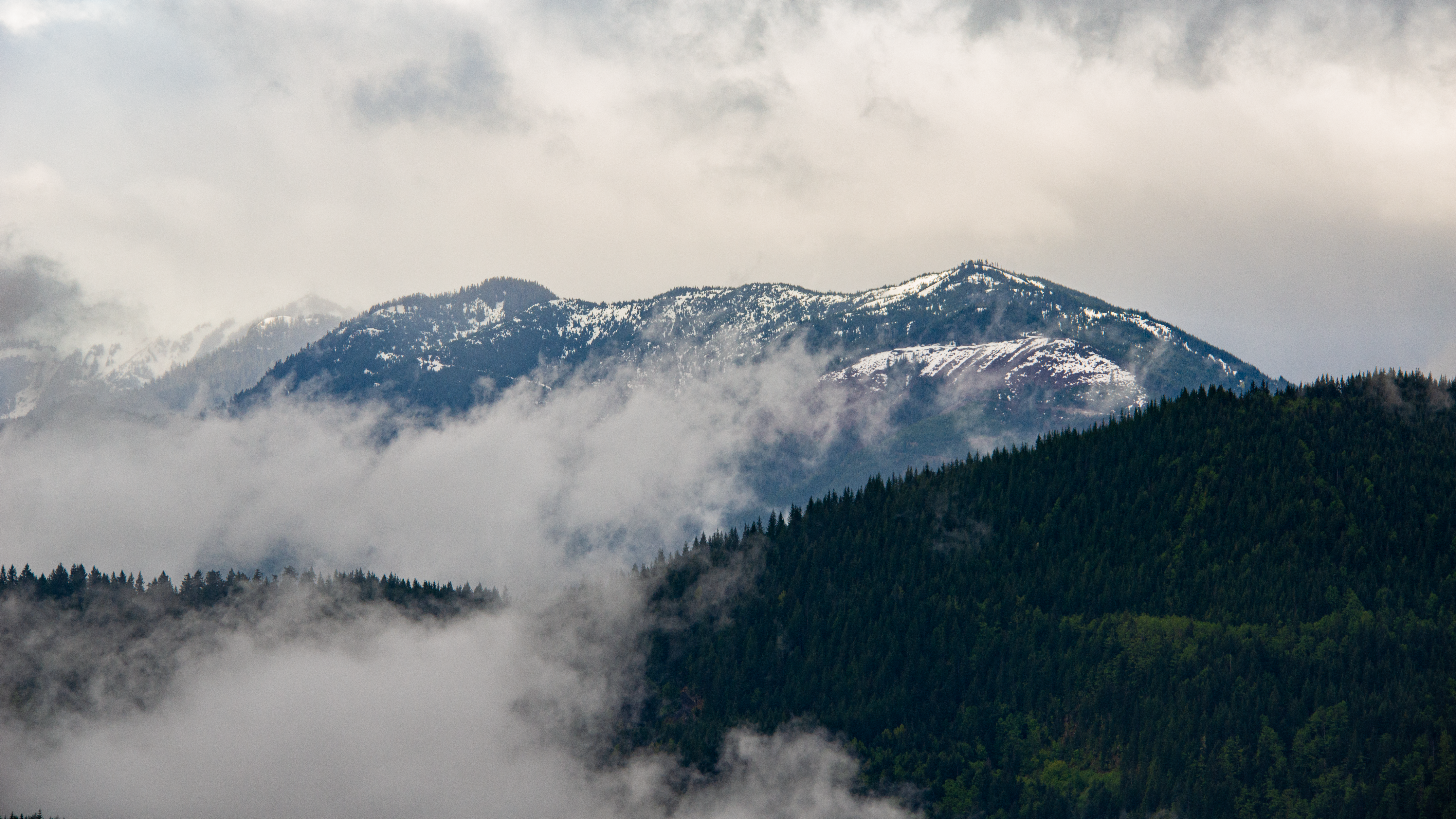 Los picos de las montañas emergen de las nubes brumosas.