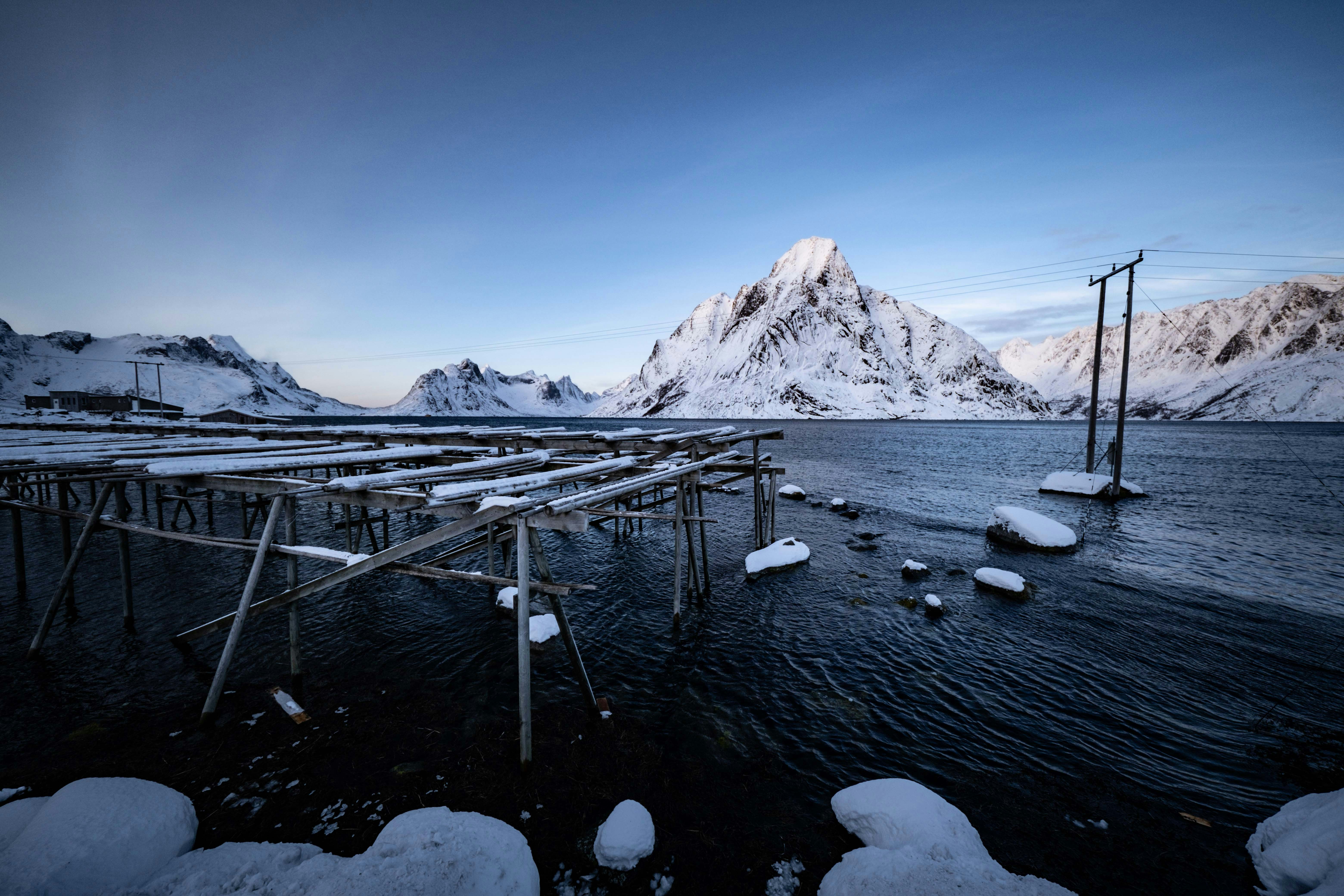 Photo by francesco_ungaro