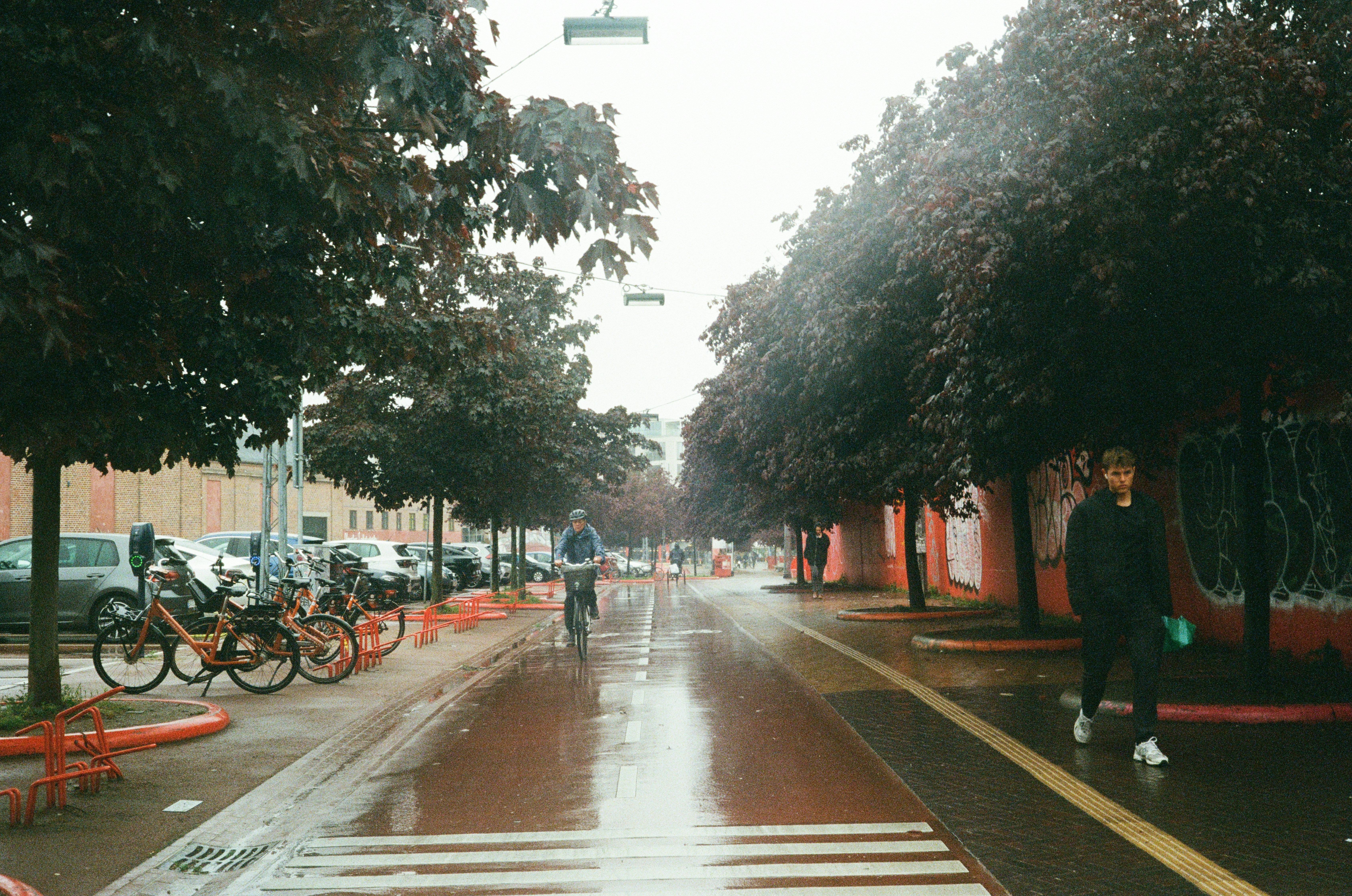 Photo by tannnpro